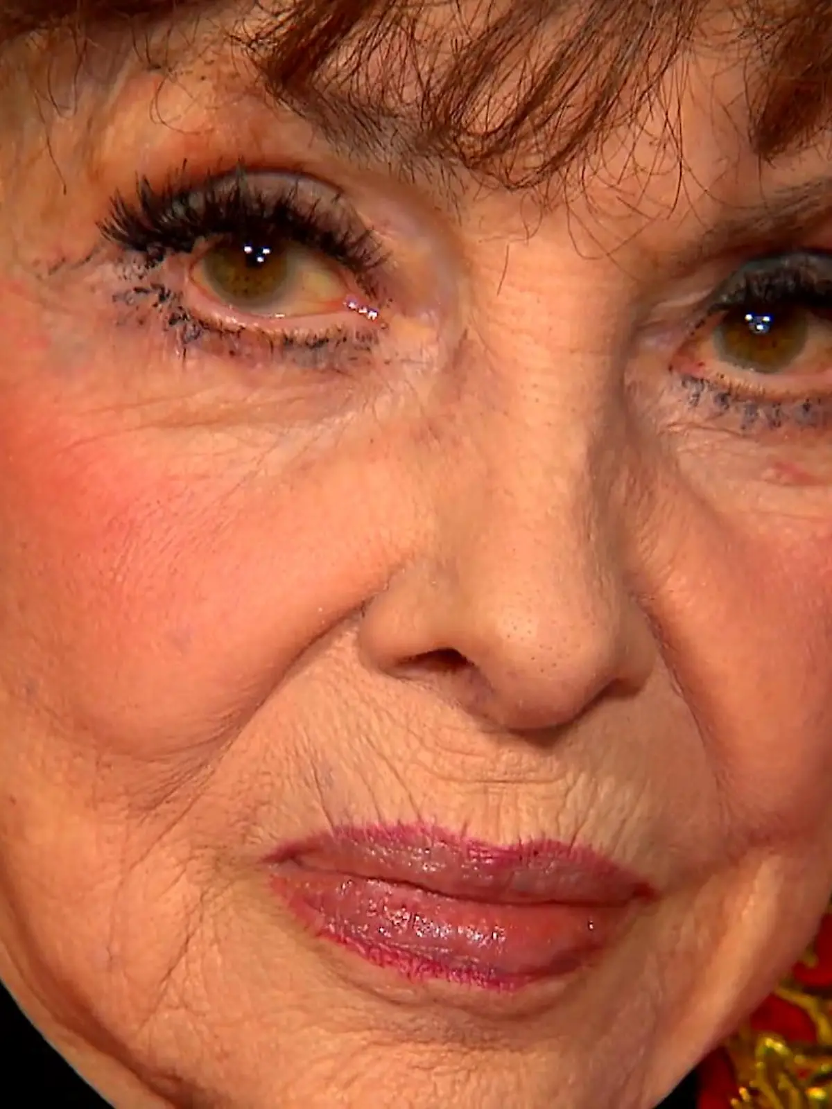 Bild zu: "Gina Lollobrigidas möchte in Ruhe sterben"