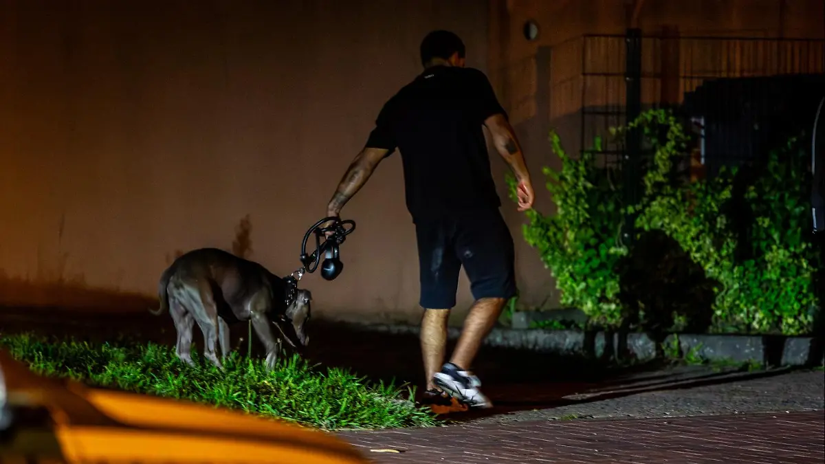 Der 22-Jährige hat seinen Hund an die Leine genommen.  Der American Staffordshire Terrier gilt als Kampfhund.
