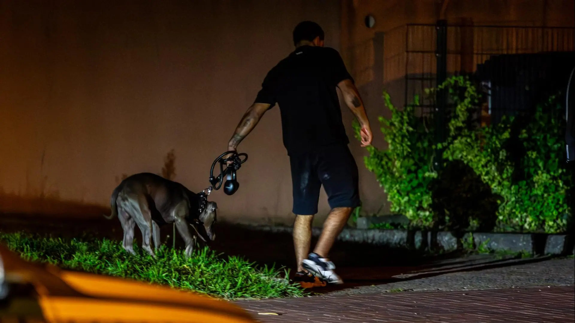 Der 22-Jährige hat seinen Hund an die Leine genommen. Der American Staffordshire Terrier gilt als Kampfhund.