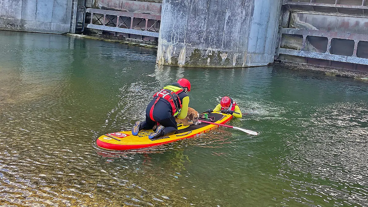 Einsatzfoto Berufsfeuerwehr München