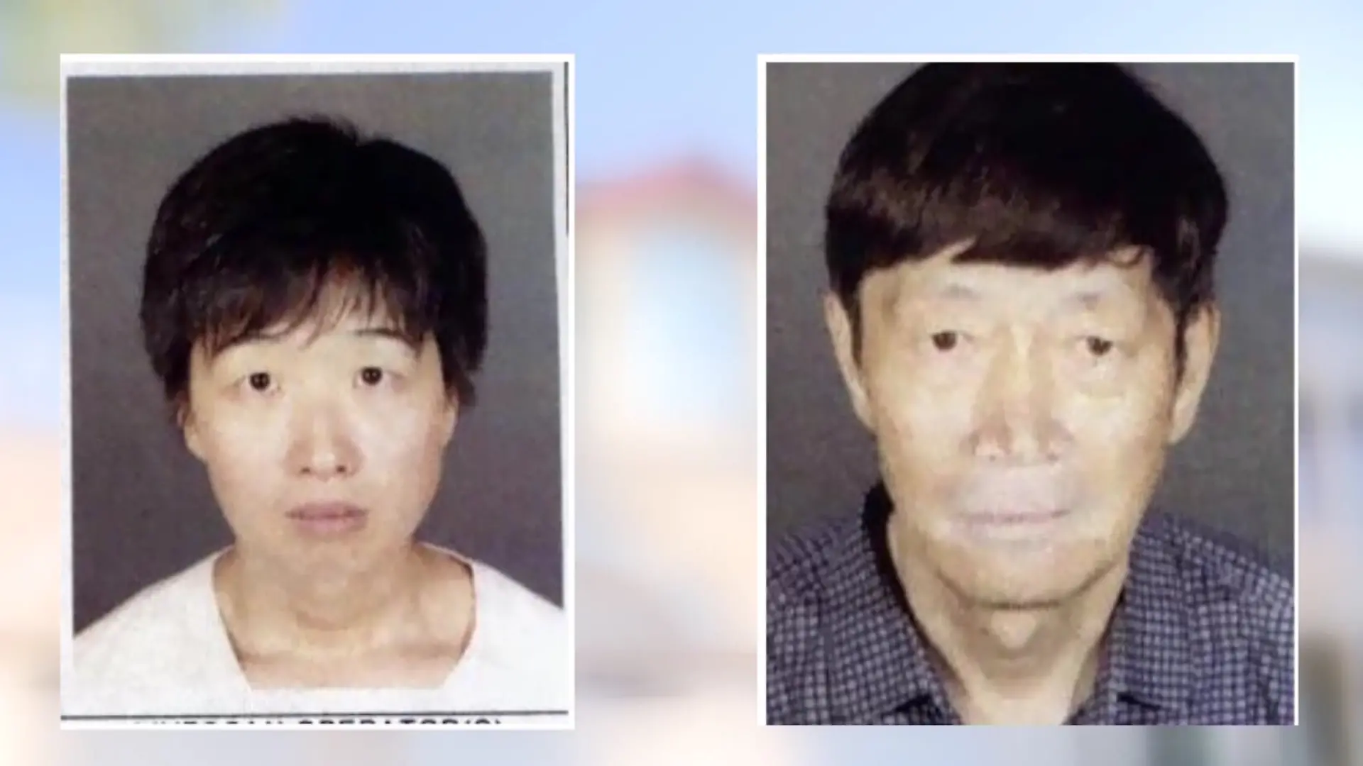 Guojun Xuan und Silvia Zhang sollen Kinder von 21 Leihmüttern bekommen haben.
