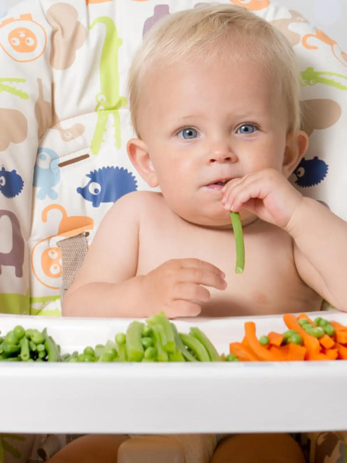 Bild zu: "Babys droht Mangelernährung durch Rohkost statt Brei "