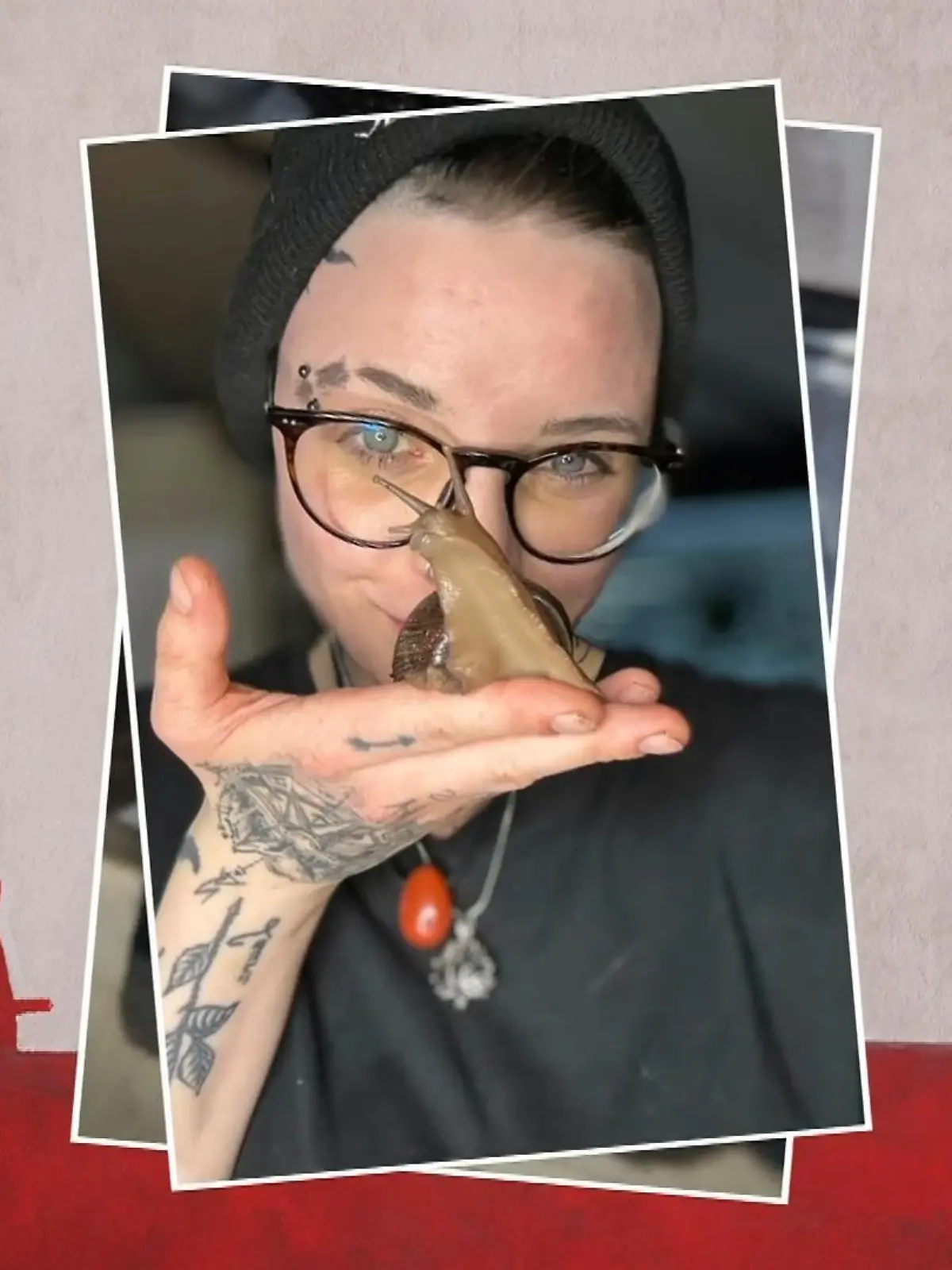 Bild zu: "Ungewöhnliche Tierliebe"