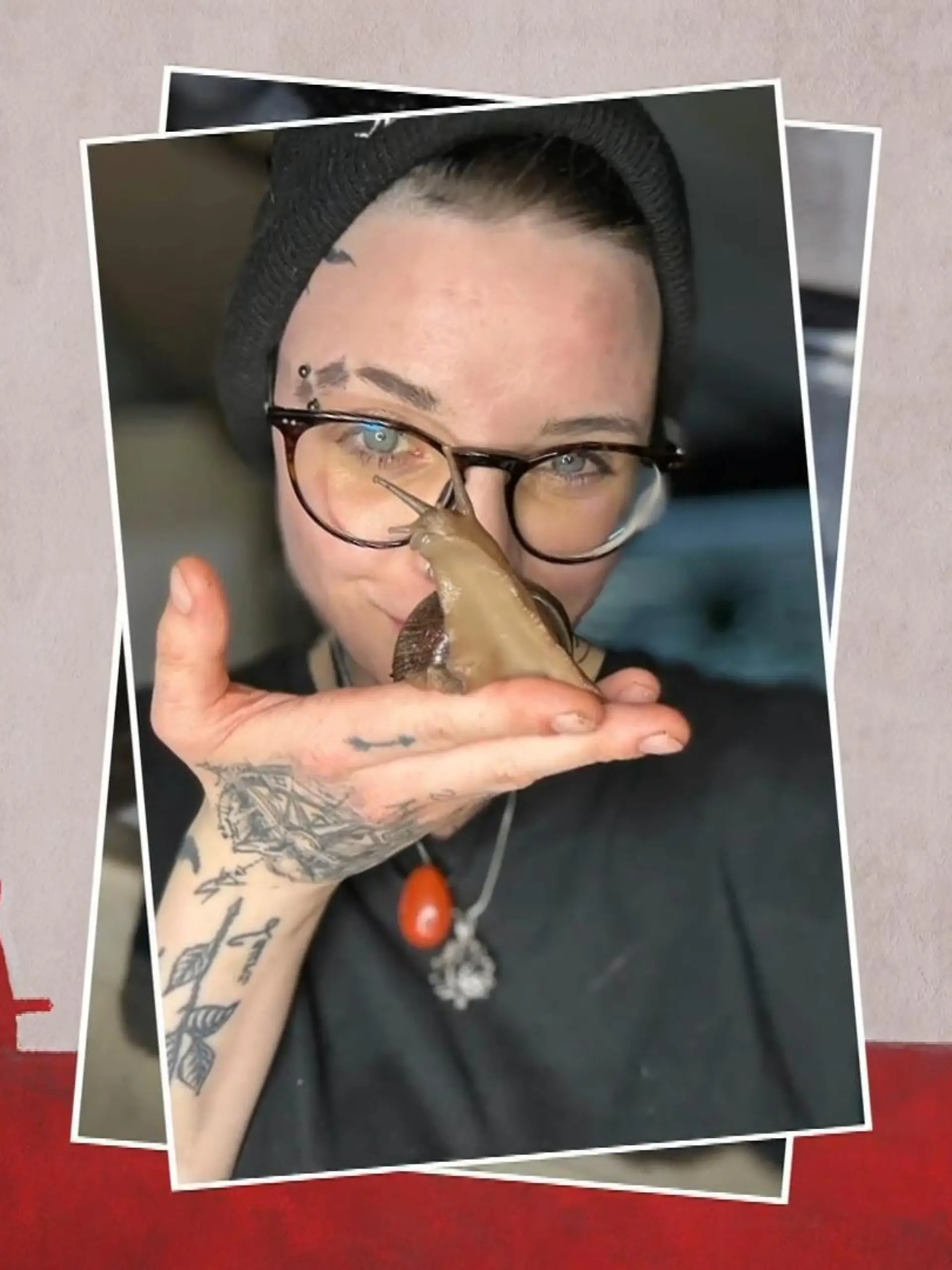 Bild zu: "Ungewöhnliche Tierliebe"