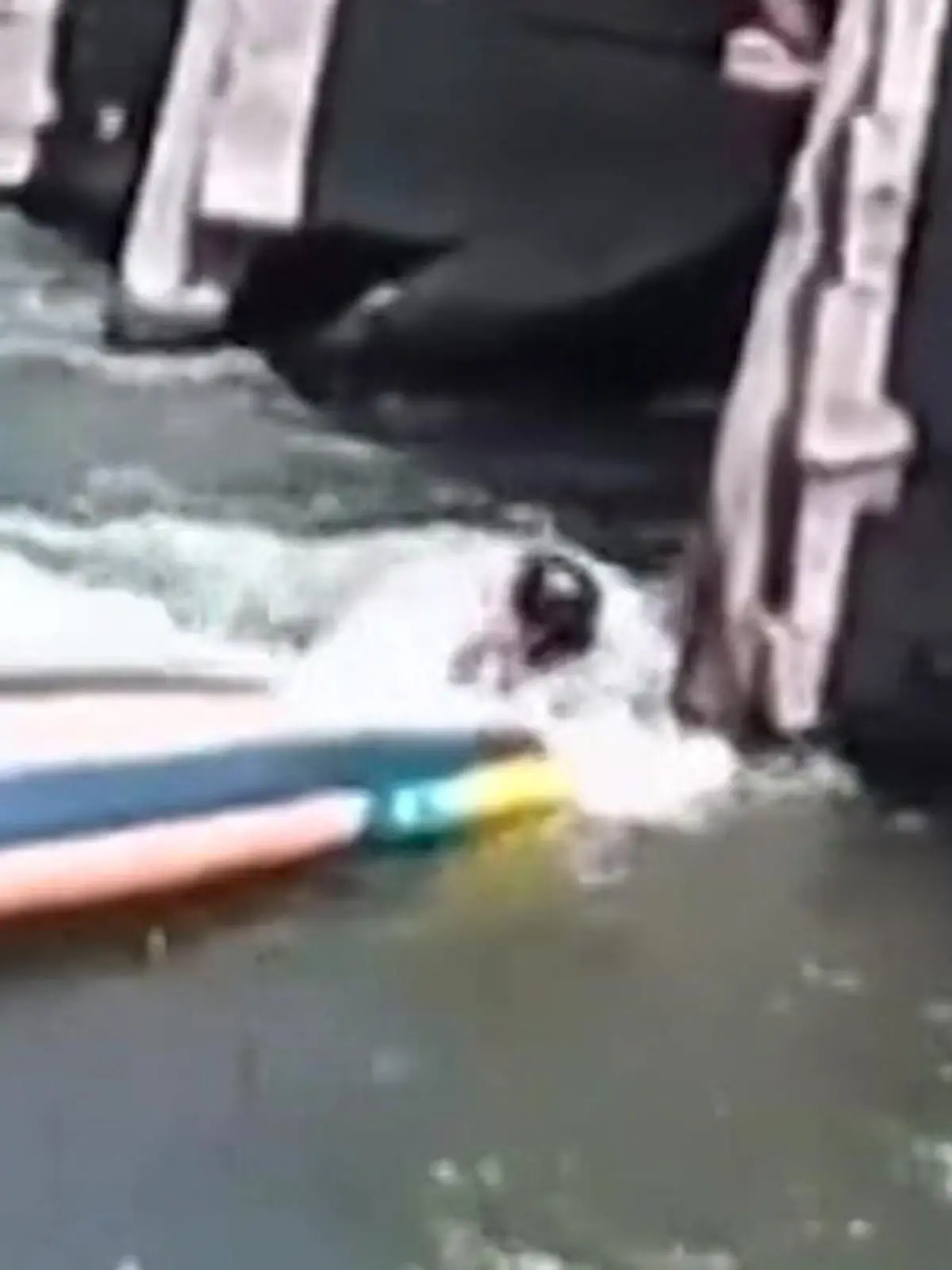 Bild zu: "In den Fluten gefangen! SUP-Ausflug endet für Tiffinie (45) in Überlebenskampf"