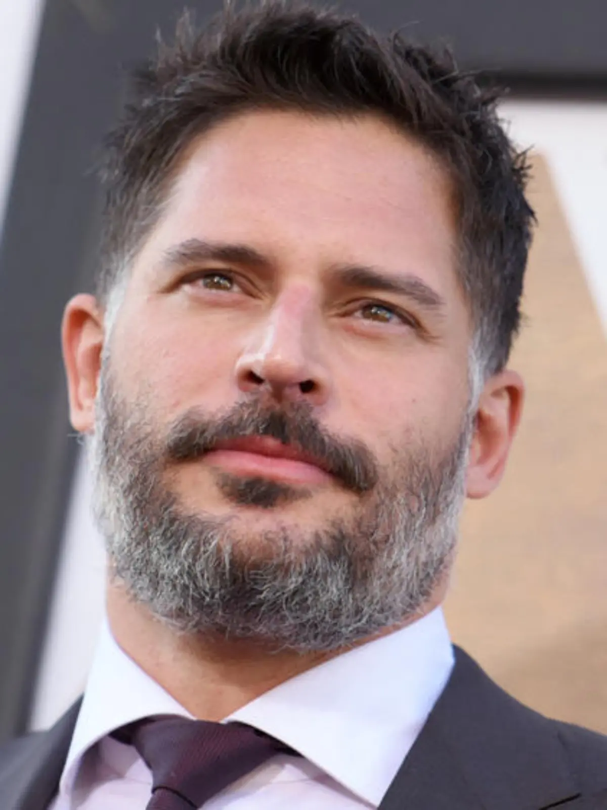 Seit 13 Jahren trocken: Hollywood-Star Joe Manganiello