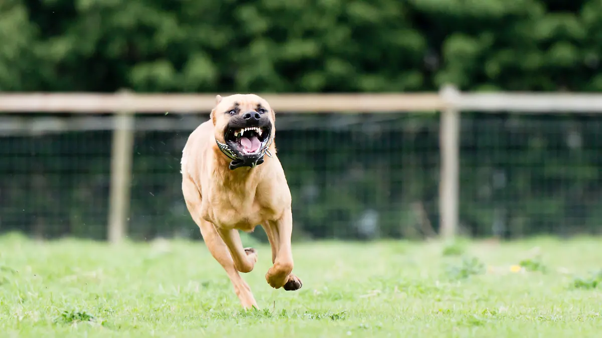 iStock-180706782.jpg