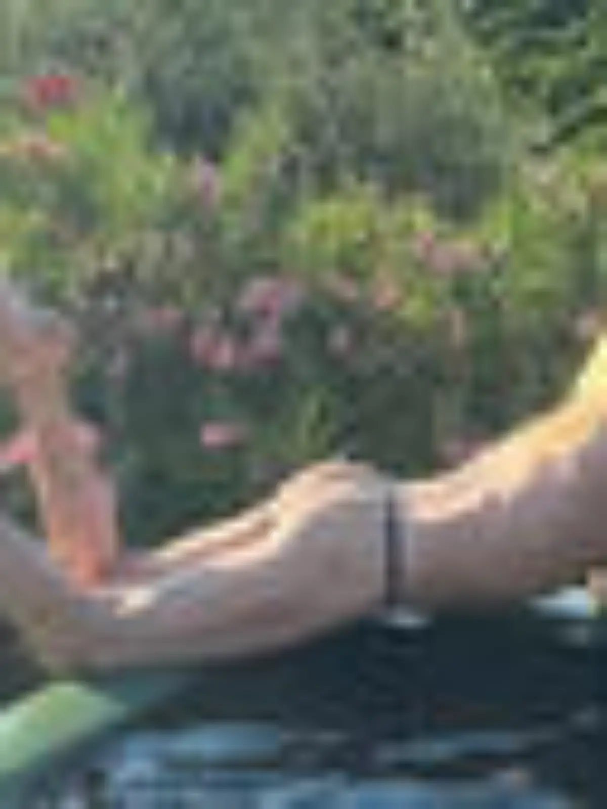 Nur ein Tanga verdeckt seinen Billy Boy! Bill Kaulitz (35) POst sexy am Pool