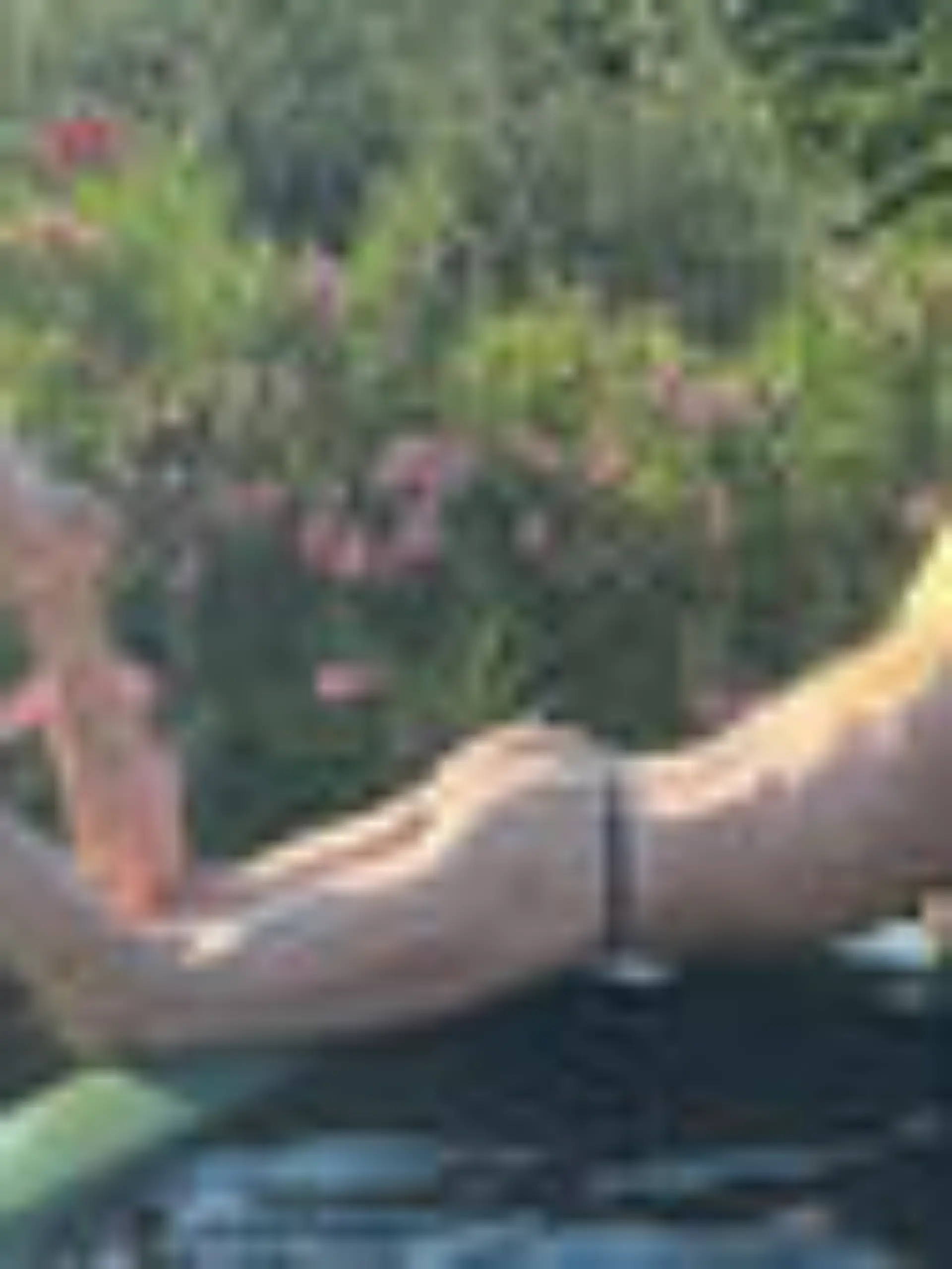 Nur ein Tanga verdeckt seinen Billy Boy! Bill Kaulitz (35) POst sexy am Pool