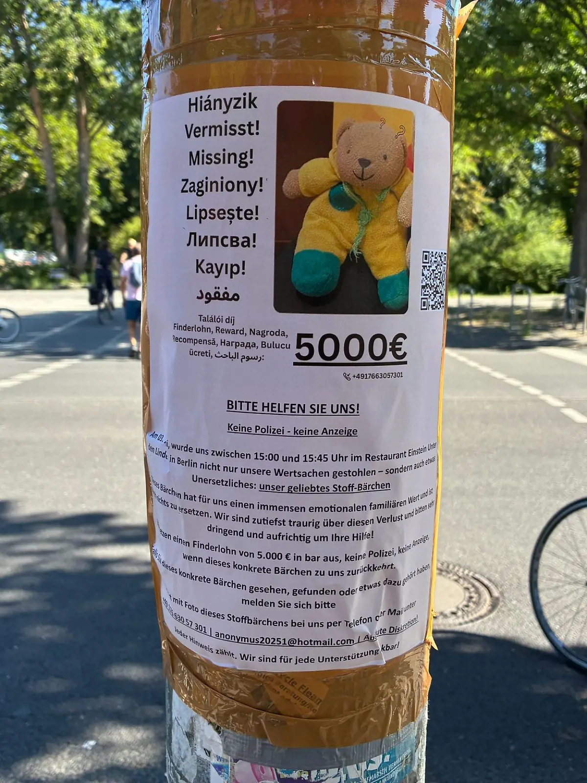Bild zu: "Belohnung verfünffacht! Teddy bleibt nach Diebstahl in Berlin verschwunden"