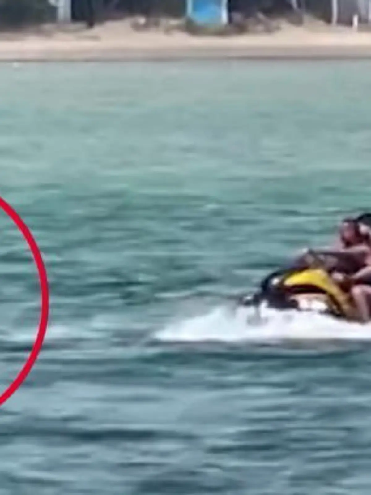 In Australien haben zwei Jetski-Fahrer einen Delphin verfolgt. Sie sollen sogar über das Tier gefahren sein - so Fotografin Jessica Beckham, die diese Aufnahmen gemacht hat. Wir zeigen den Moment im Video.