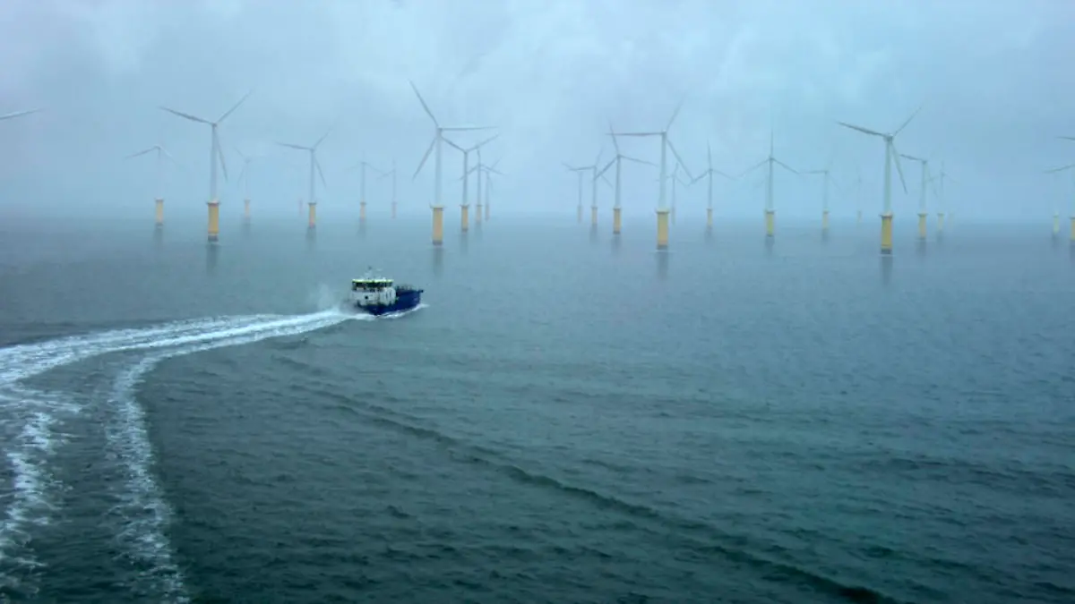 Das Geschäft mit sauberer Windenergie kann ganz schön schmutzig sein, so zeigt es der "Tatort: Wer Wind erntet, sät Sturm"