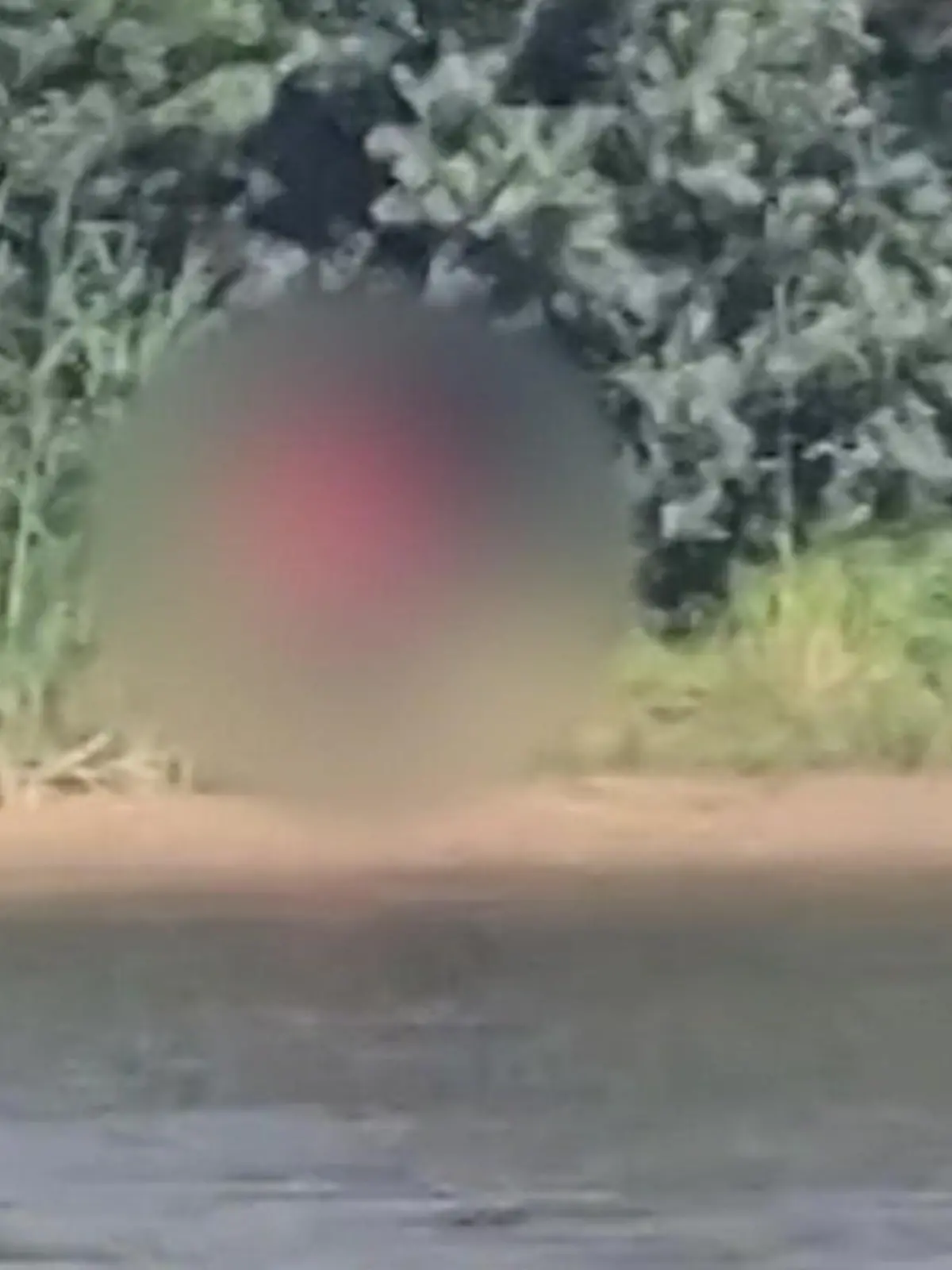 Erwischt dank Super Zoom! Paar hat Sex im Gebüsch