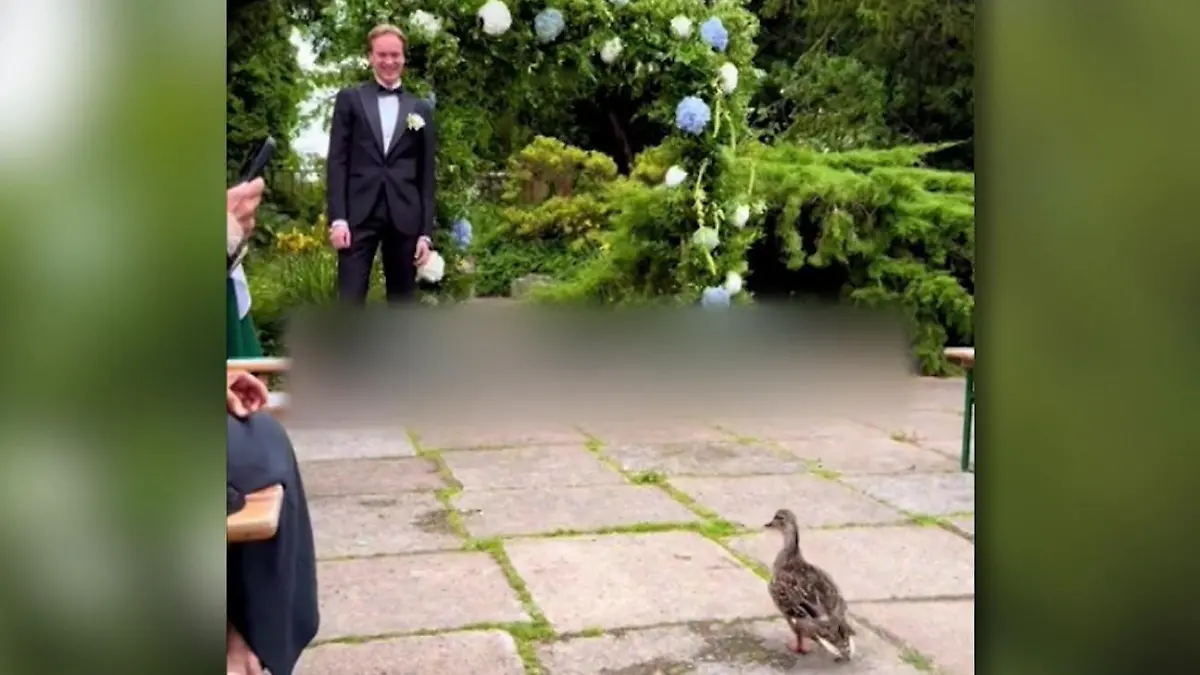 Wie Nathalie Stüben (40) ihre Alkoholsucht überwand – Buchautorin seit ...