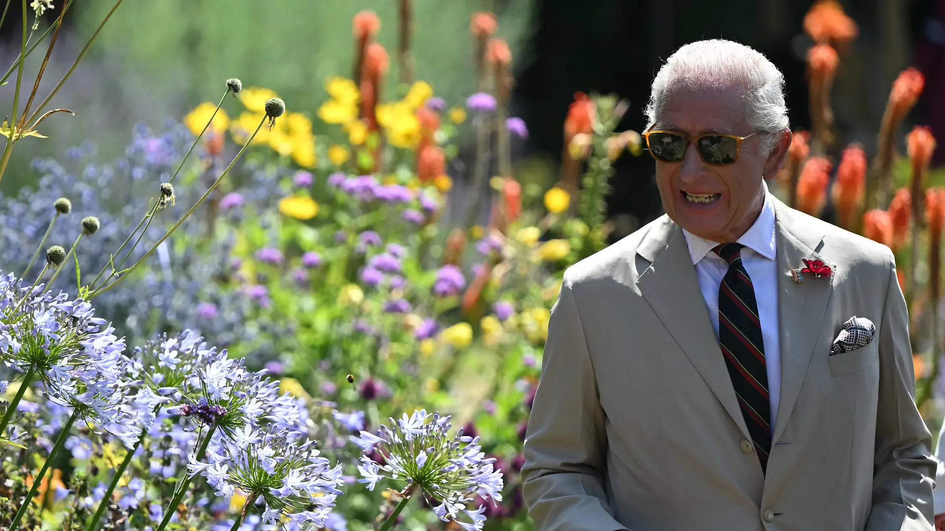 König Charles in einem Garten