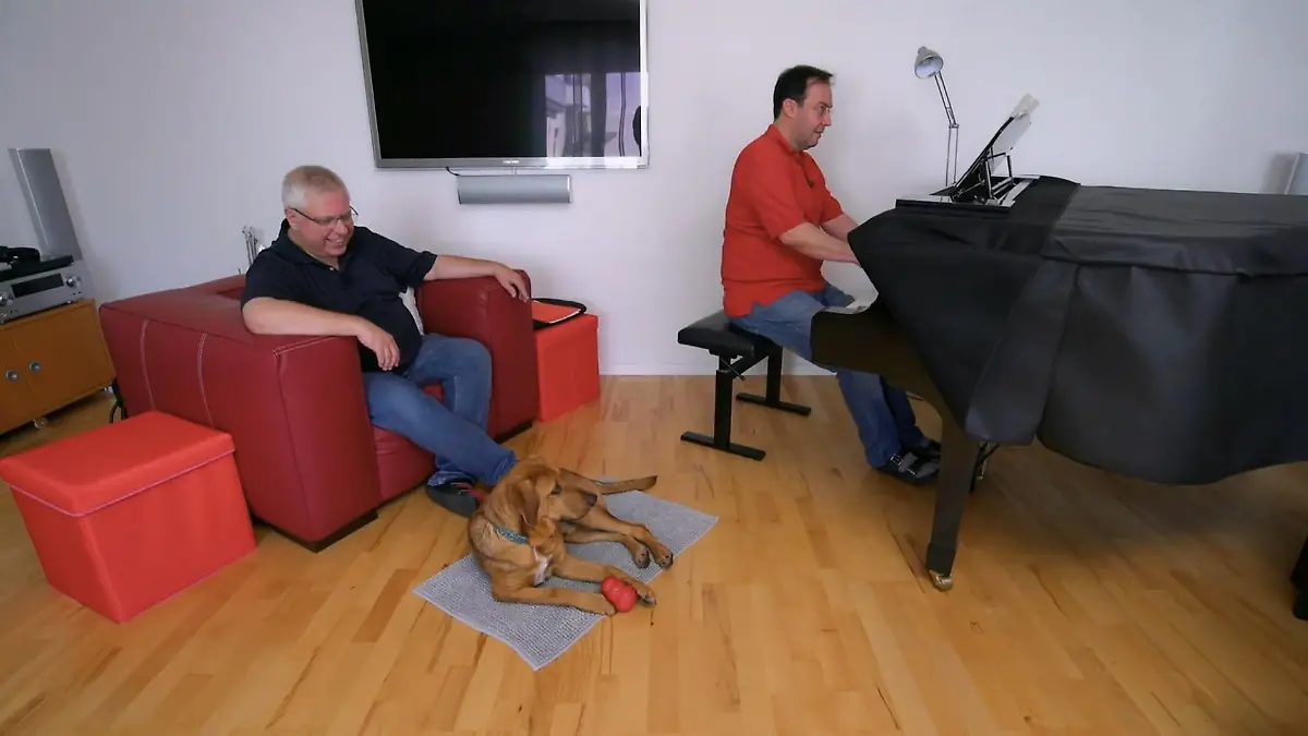 Welpe Caramelo lernt das neue Zuhause kennen Neue Töne