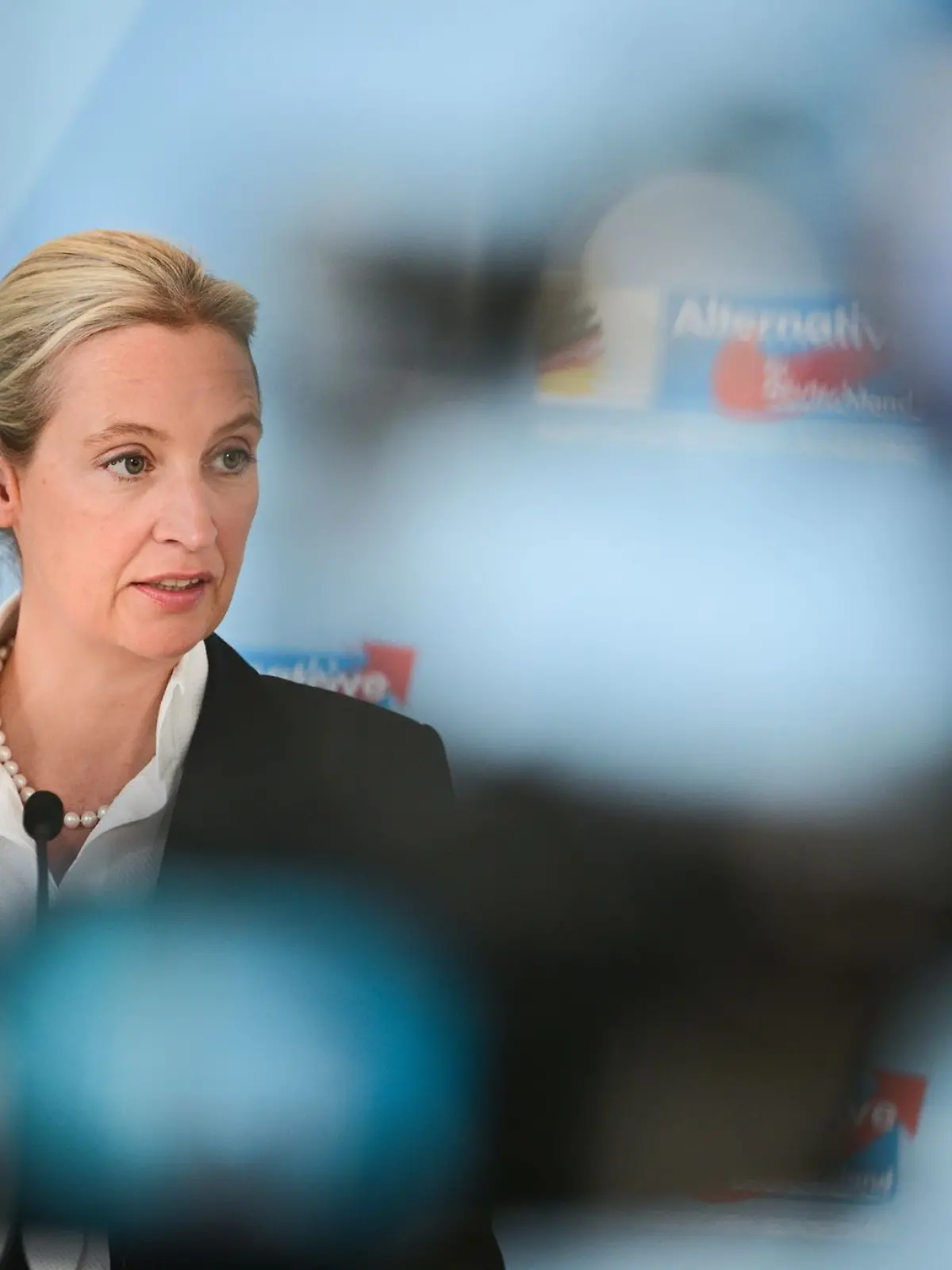 Bild zu: "Weidel sieht sich selbst als „absoluten Albtraum der etablierten Politik”"