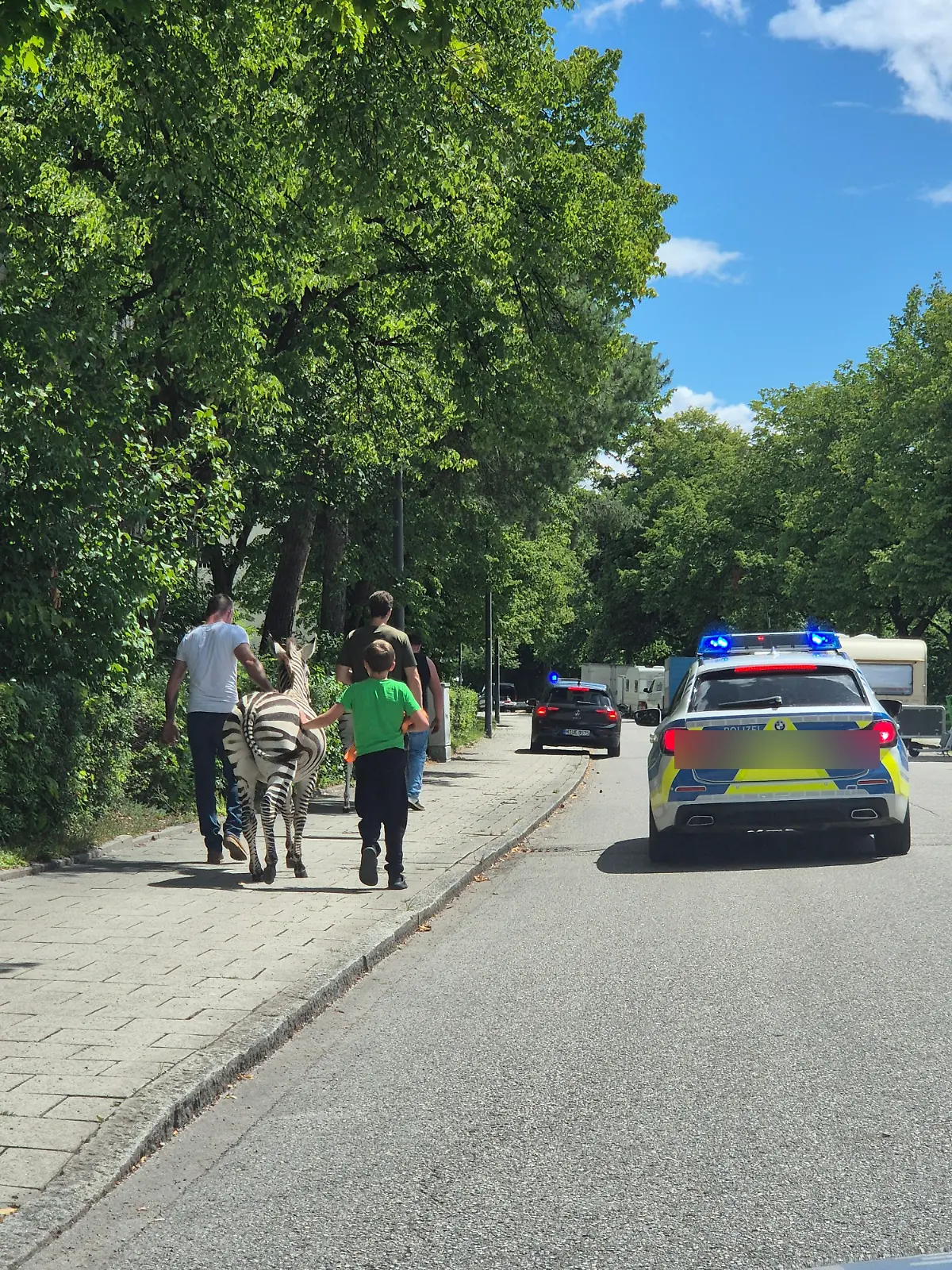 Eine Streife eskortiert die Zebras in München zurück in den Zirkus