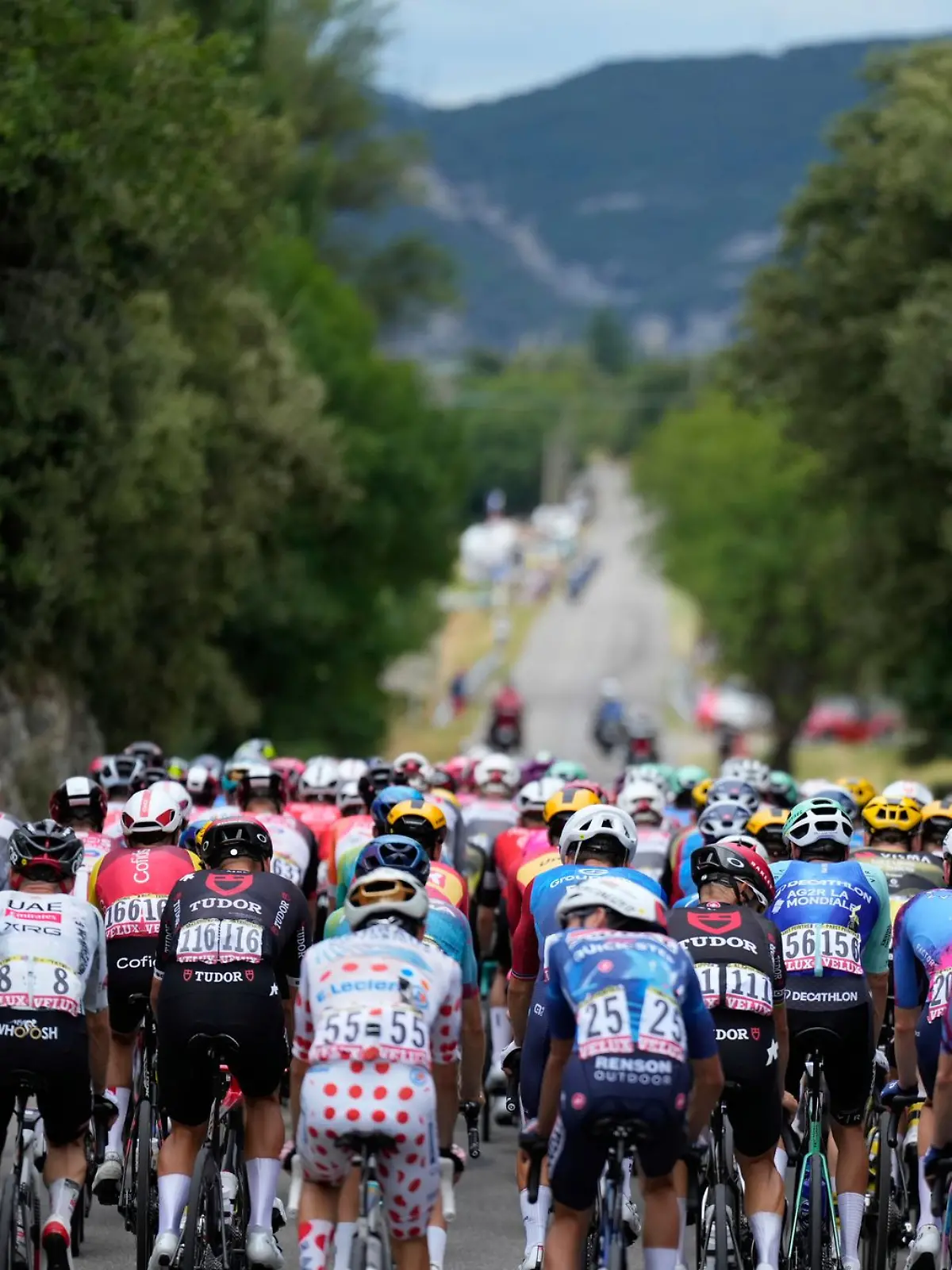 Die Fahrer auf der 17. Etappe der Tour de France auf dem Weg nach Valence. 