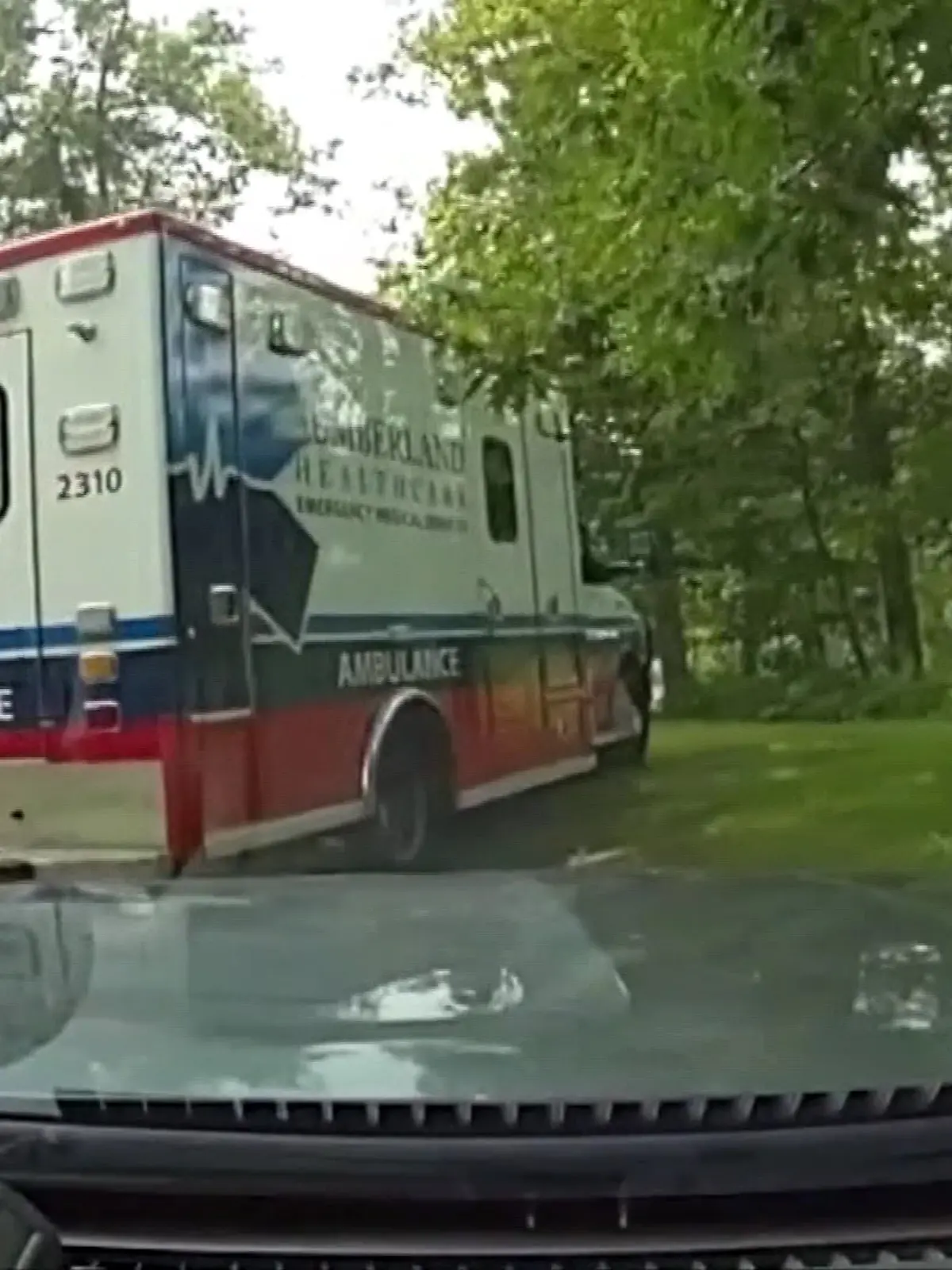 Bärenattacke in Comstock im US-Bundesstaat Wisconsin 