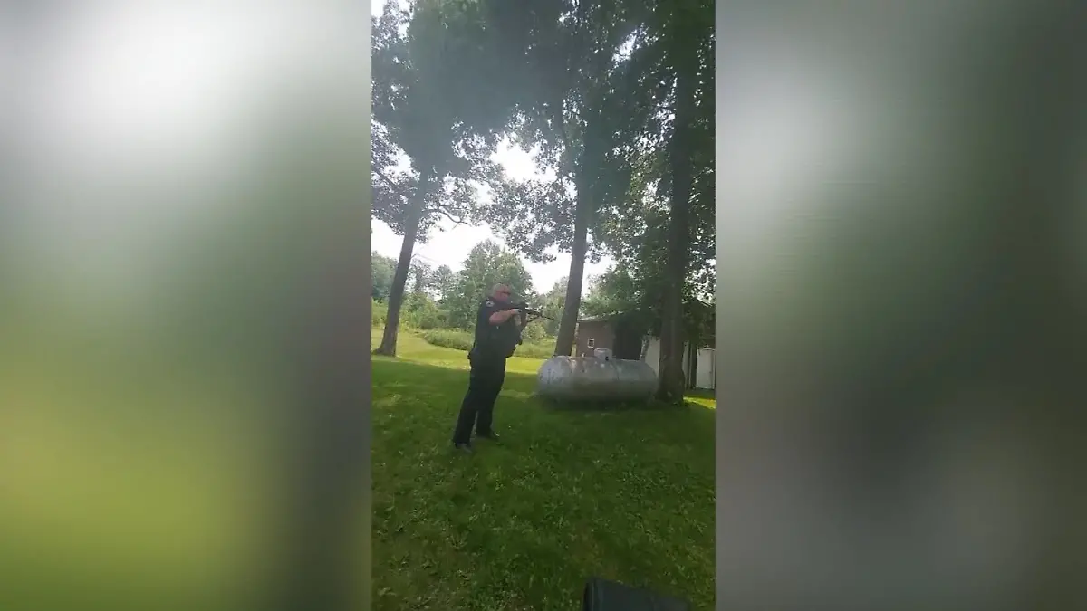 Polizei schießt auf Bären