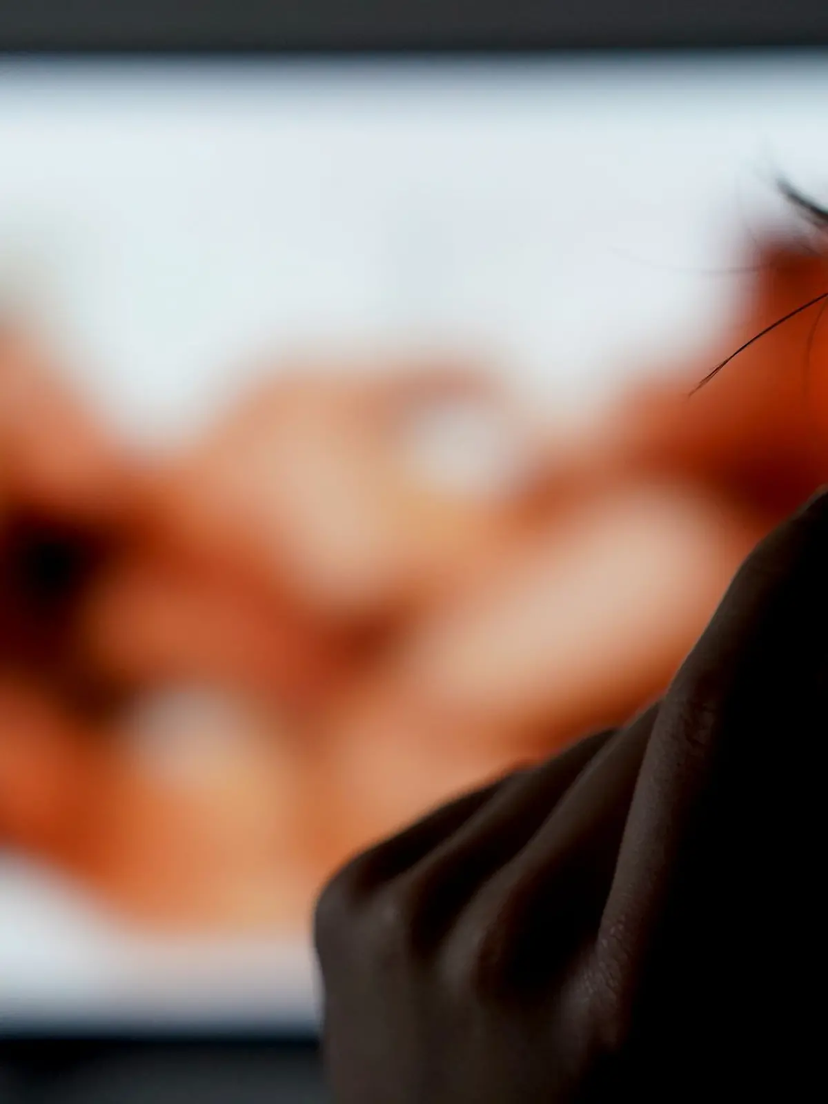 Bild zu: "Mitten in der Gemeinderatssitzung läuft plötzlich ein Porno"