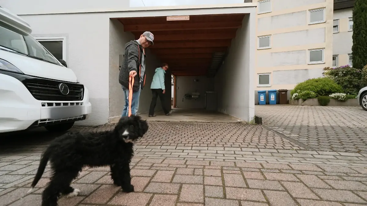 Balu will noch nicht ins Stadthaus Bauernhofhund