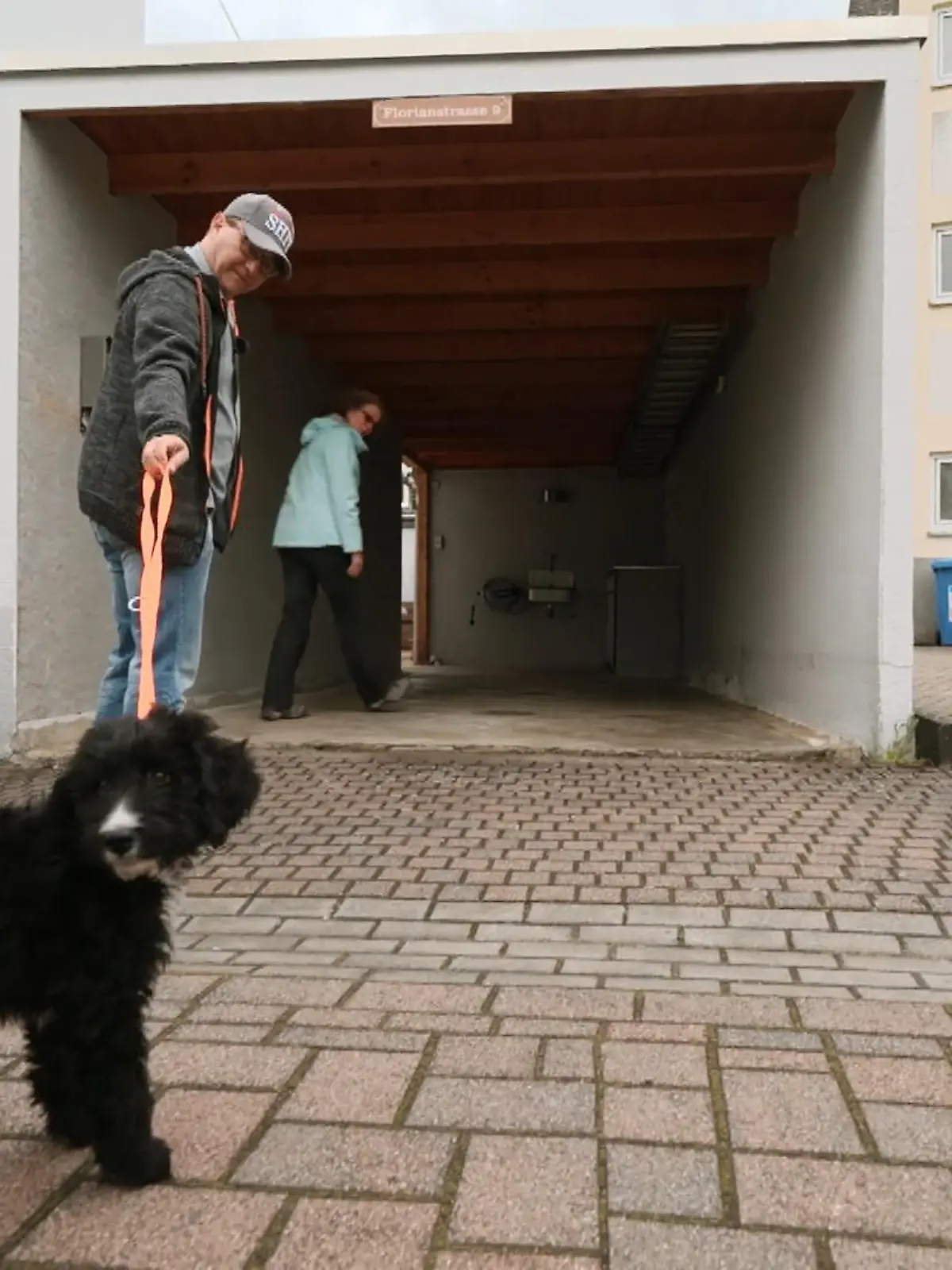 Bild zu: "Balu will noch nicht ins Stadthaus"