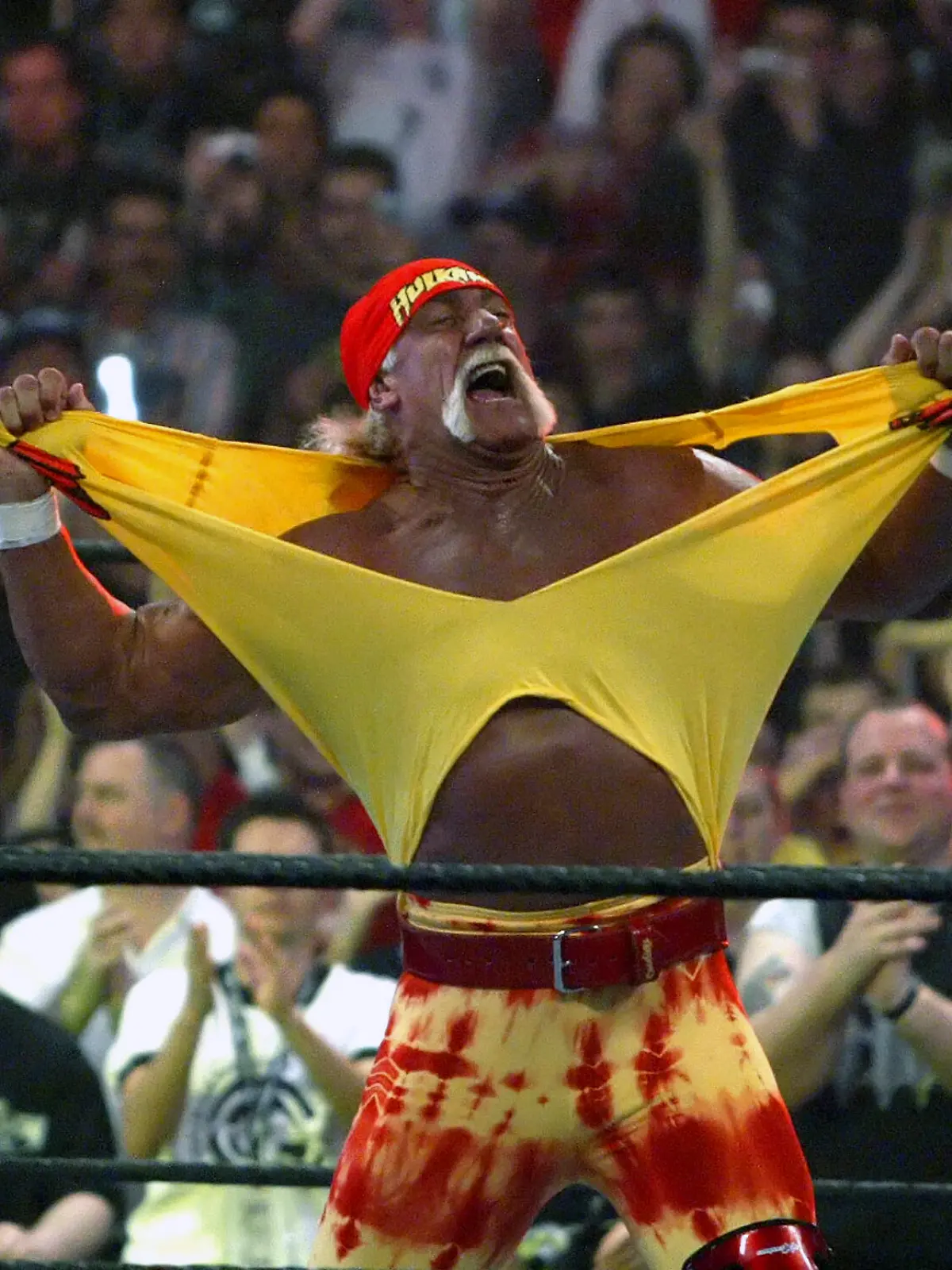 Hulk Hogan heizt der Menge zwischen den Kämpfen bei der WrestleMania 21 in Los Angeles am 3. April 2005 ein