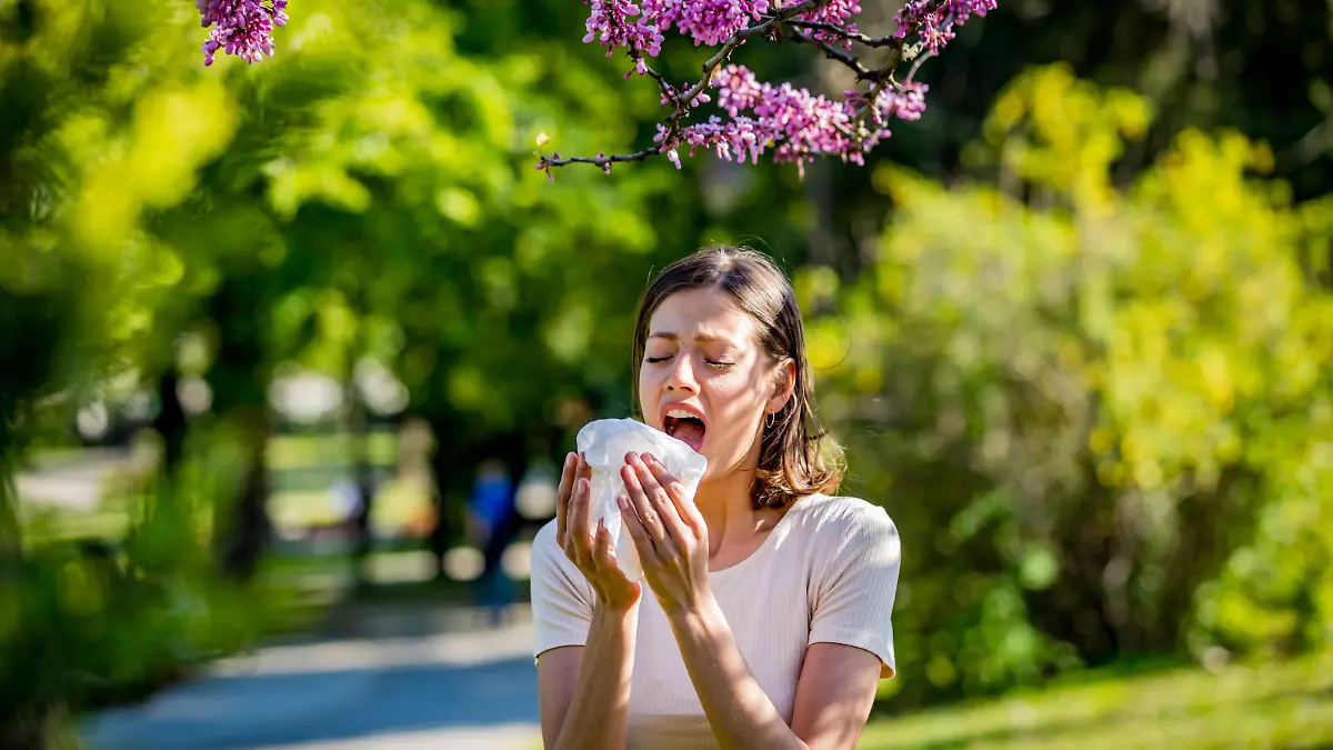 Woman has sneezing. Young woman is having flu and she is sneezing. Sickness, seasonal virus problem concept. Woman being sick having flu sneezing.