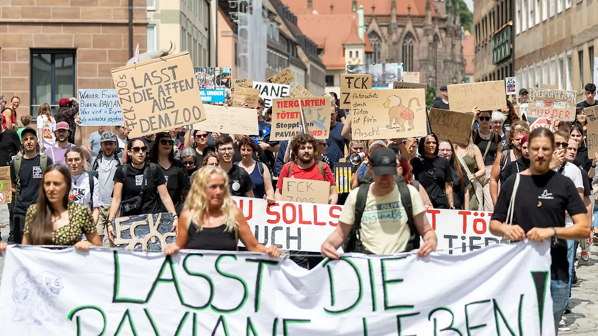 Die Aufregung ist groß, seitdem der Tiergarten im Februar 2024 angekündigt hat, einige seiner Guinea-Paviane aus Platzmangel töten zu wollen.