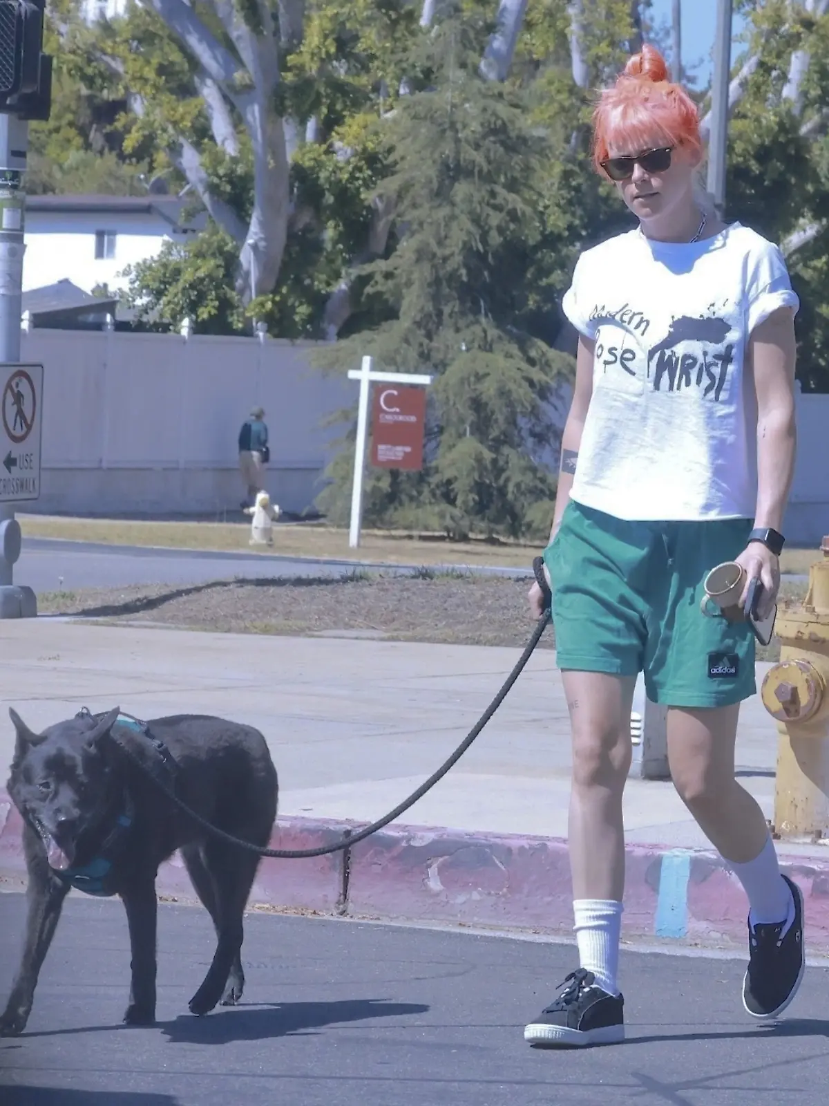 Kristen Stewart mit neuem Look beim Hunde-Spaziergang