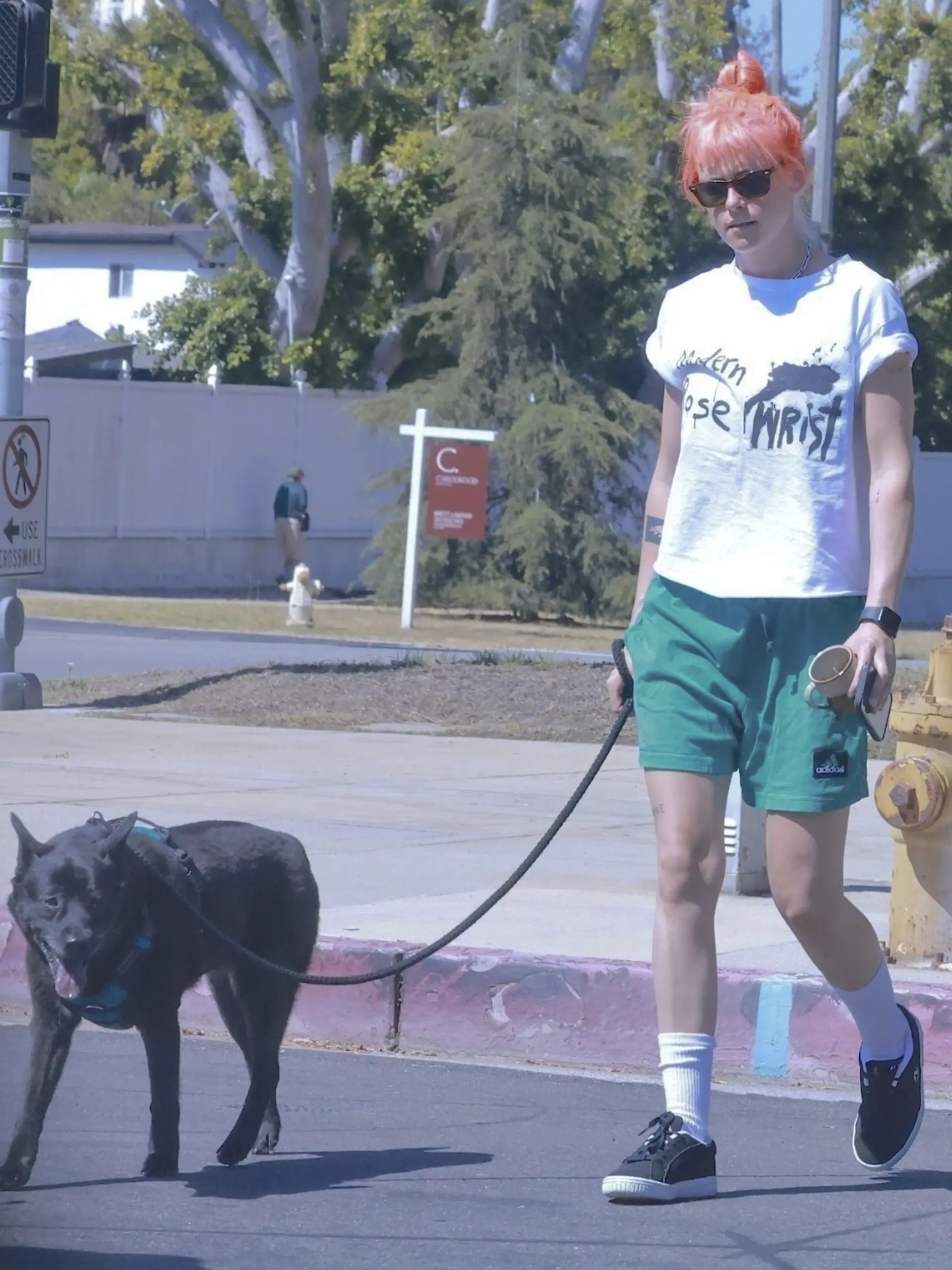 Kristen Stewart mit neuem Look beim Hunde-Spaziergang