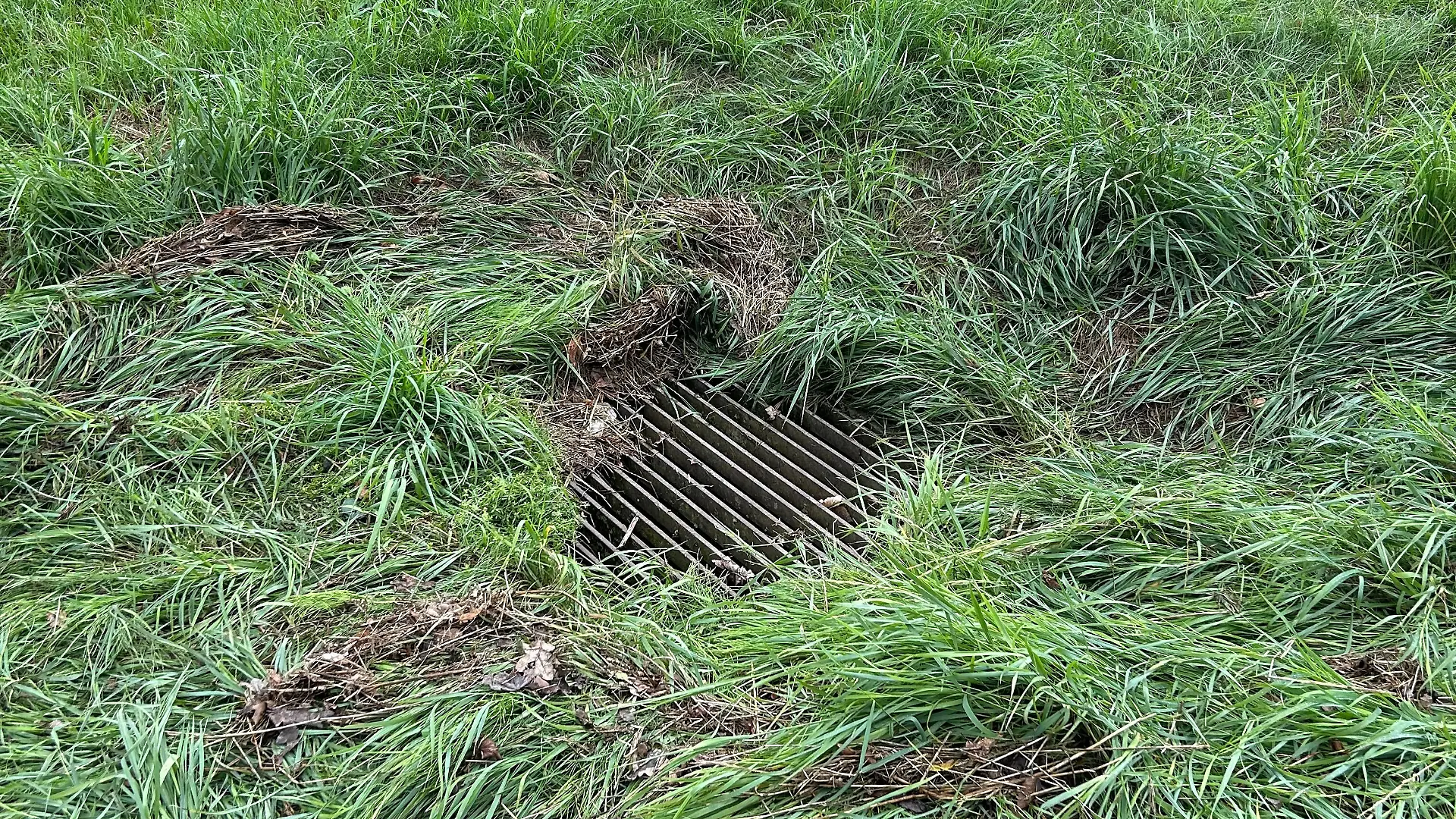 War dieser Gully der Auslöser für das tragische Zugunglück bei Riedlingen (Baden-Württemberg)?