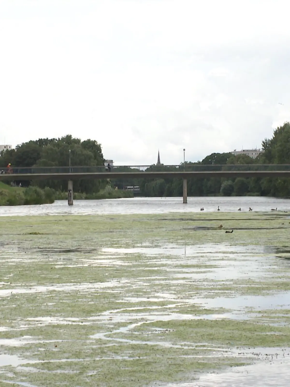 Auf dem Werdersee läuft momentan kein geregelter Betrieb. 