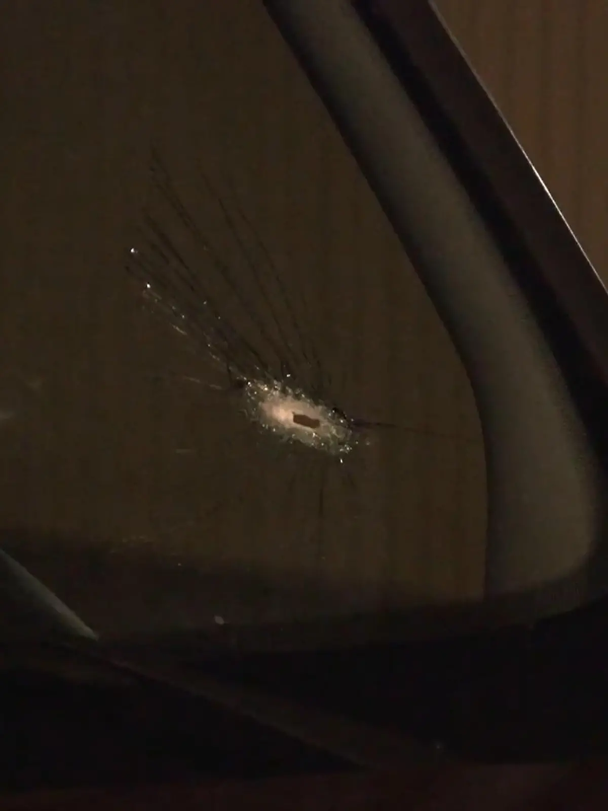 Bild zu: "Polizei schießt auf Auto"