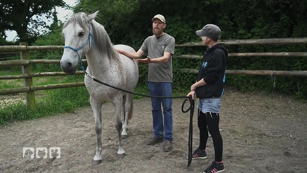 Snoopys Besitzerin lernt, seinem „Ja“ zu vertrauen Training auf Augenhöhe