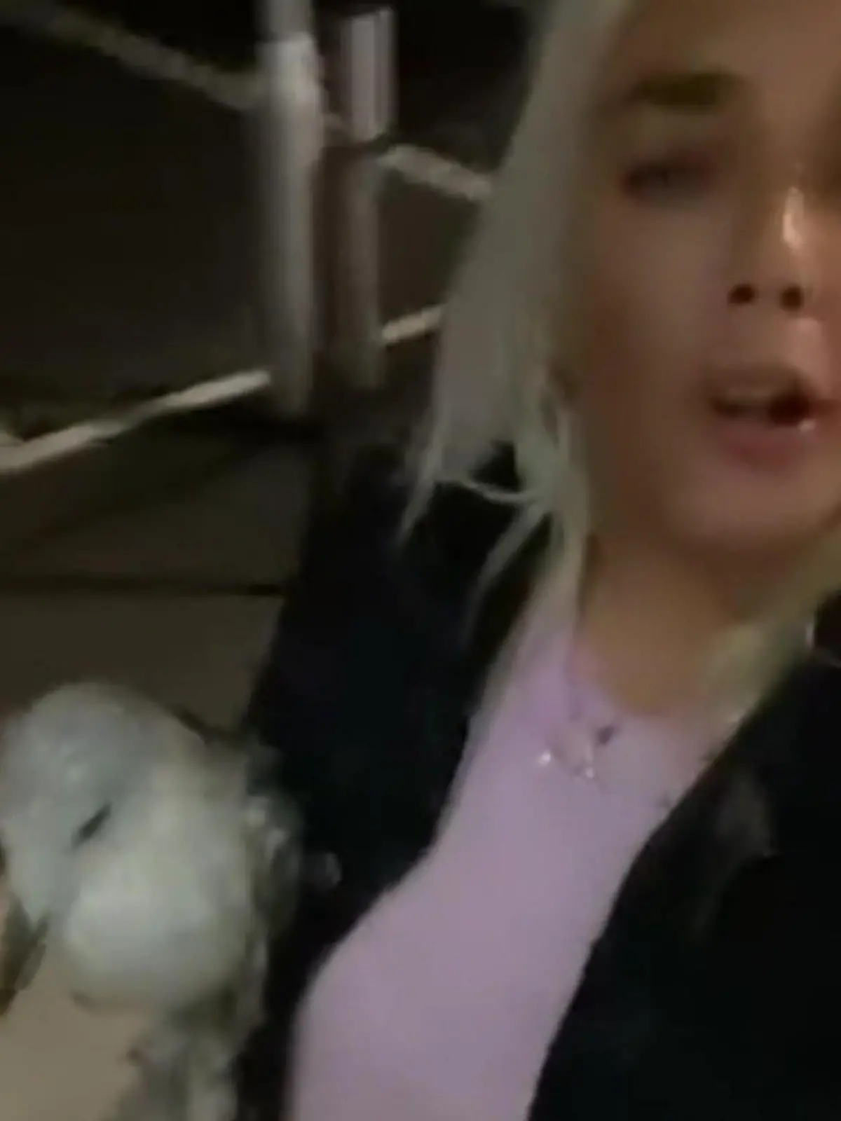 Bild zu: "Hat die nen Vogel? Betrunkene Britin (22) schleppt Möwe mit nach Hause"