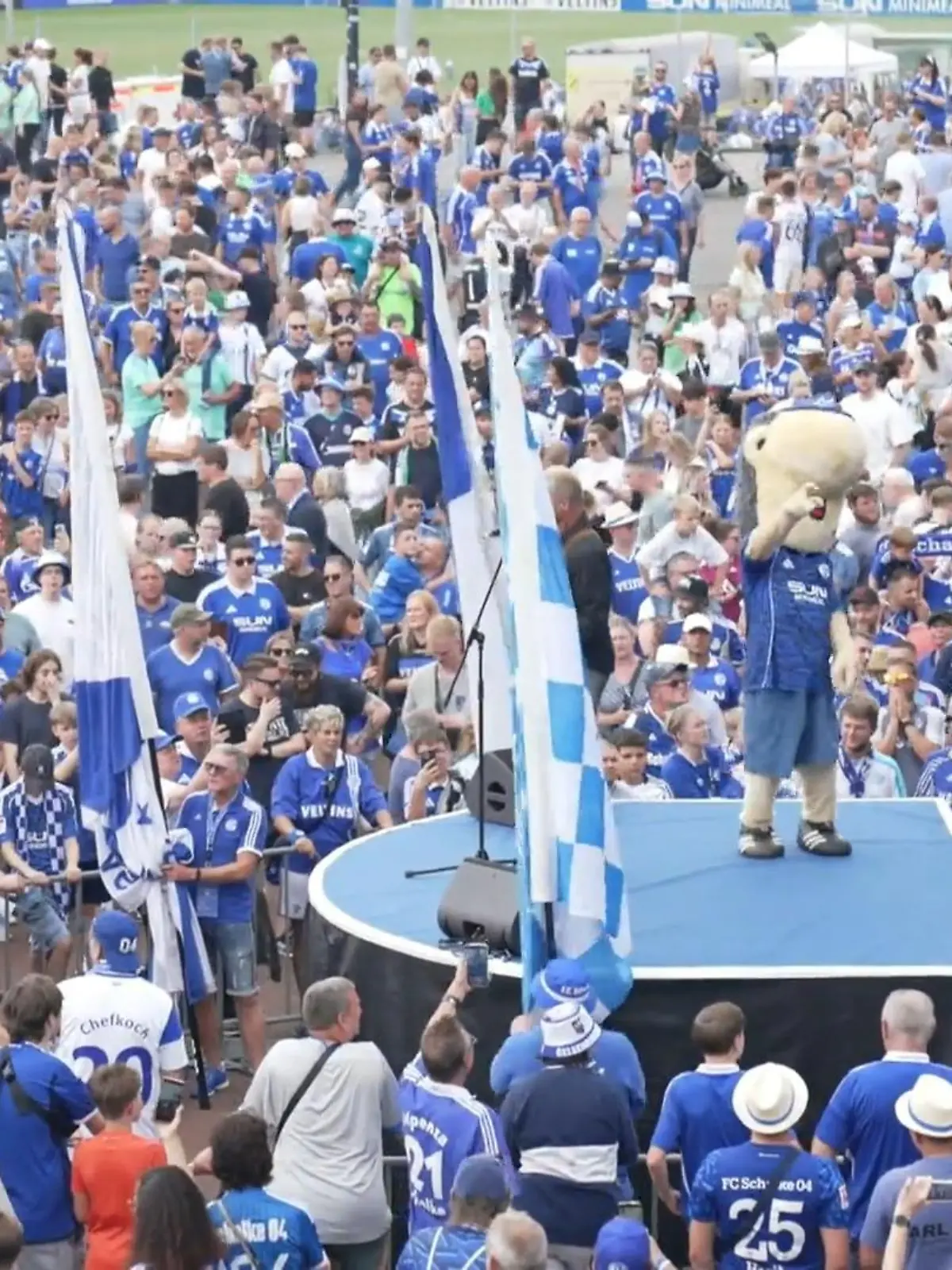 Bild zu: "Schalke bald wieder erstklassig?"