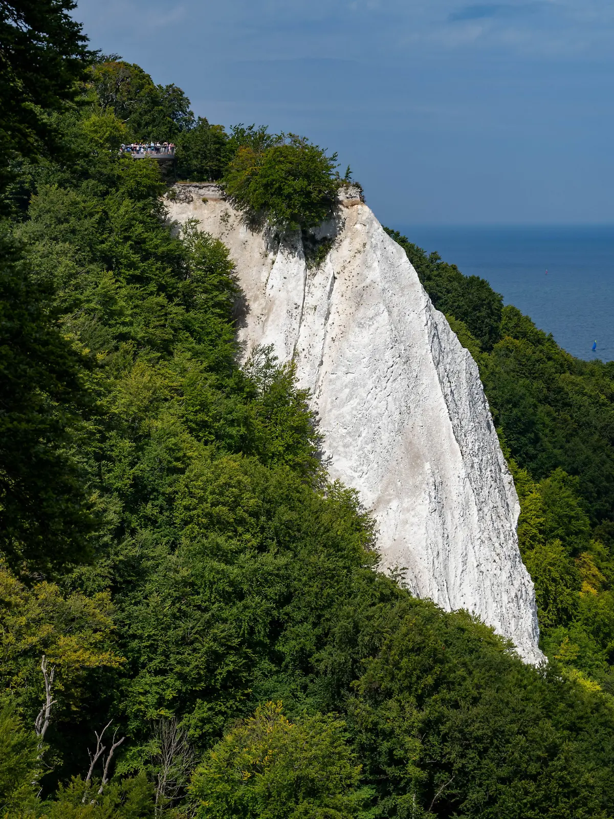 Die Steilküste im Nationalpark Jasmund auf der Insel Rügen ist ein beliebtes Ausflugziel bei Touristen.