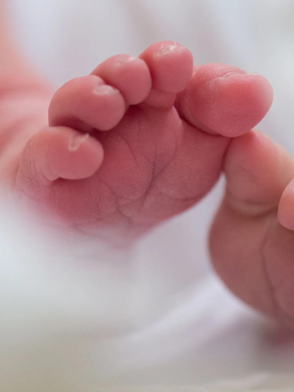 Bild zu: "Fünfjährige wirft Neugeborenes aus dem vierten Stock"