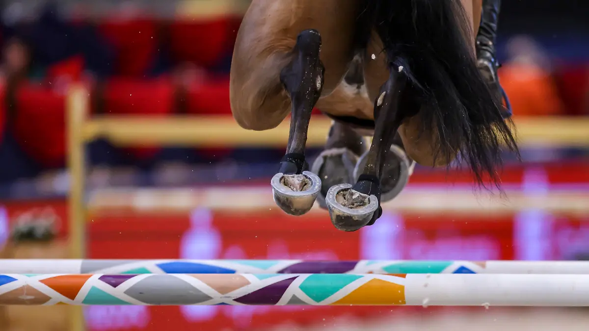 ARCHIV - 07.04.2022, Sachsen, Leipzig: David Will aus Deutschland nimmt auf C Vier am 1. Finale im Longines Fei Jumping World Cup auf der Leipziger Messe teil. (zu dpa: «Franzose Julien Anquetin gewinnt Auftaktspringen in Frankfurt») Foto: Jan Woitas/dpa +++ dpa-Bildfunk +++