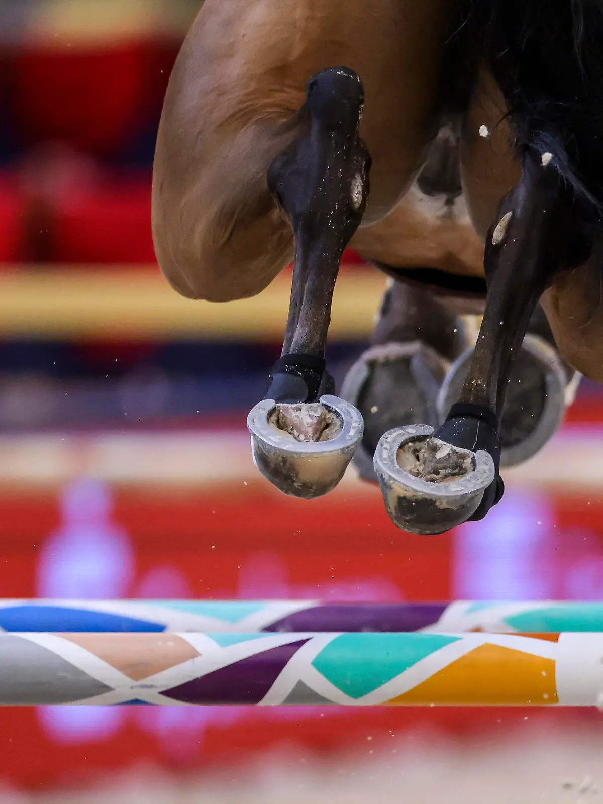 ARCHIV - 07.04.2022, Sachsen, Leipzig: David Will aus Deutschland nimmt auf C Vier am 1. Finale im Longines Fei Jumping World Cup auf der Leipziger Messe teil. (zu dpa: «Franzose Julien Anquetin gewinnt Auftaktspringen in Frankfurt») Foto: Jan Woitas/dpa +++ dpa-Bildfunk +++
