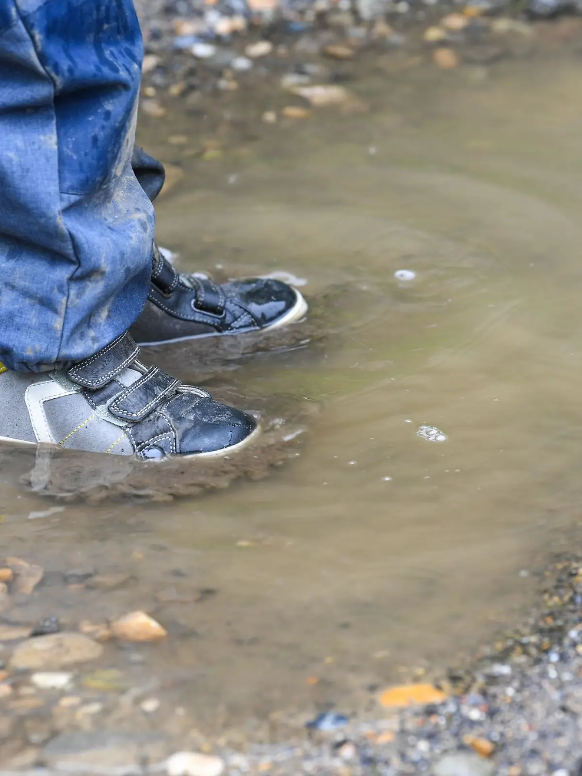 Bild zu: "Fremder schnappt sich Kind (2) in Berlin – und rennt davon "