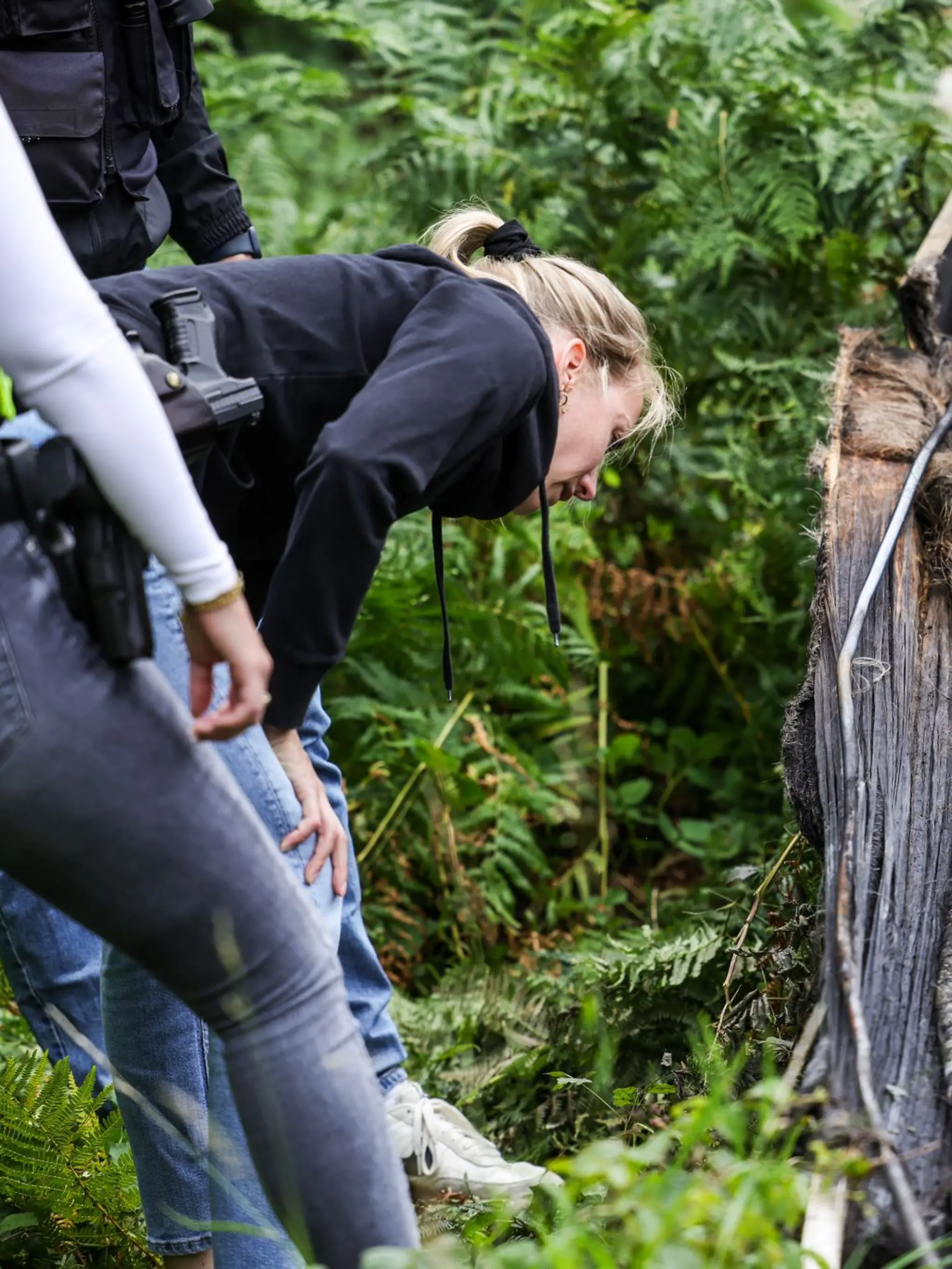 Bild zu: "„Störung verursacht“ – Bekennerschreiben nach Bahn-Sabotage aufgetaucht"