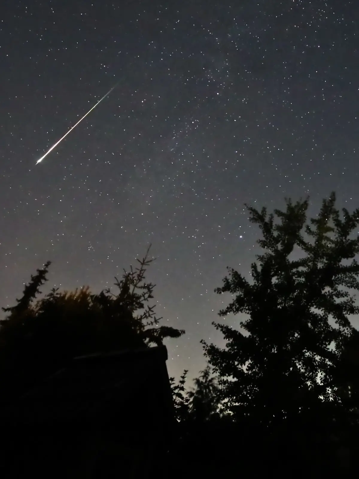 Bild zu: "Sternschnuppen-Strom erhellt im August unseren Nachthimmel"