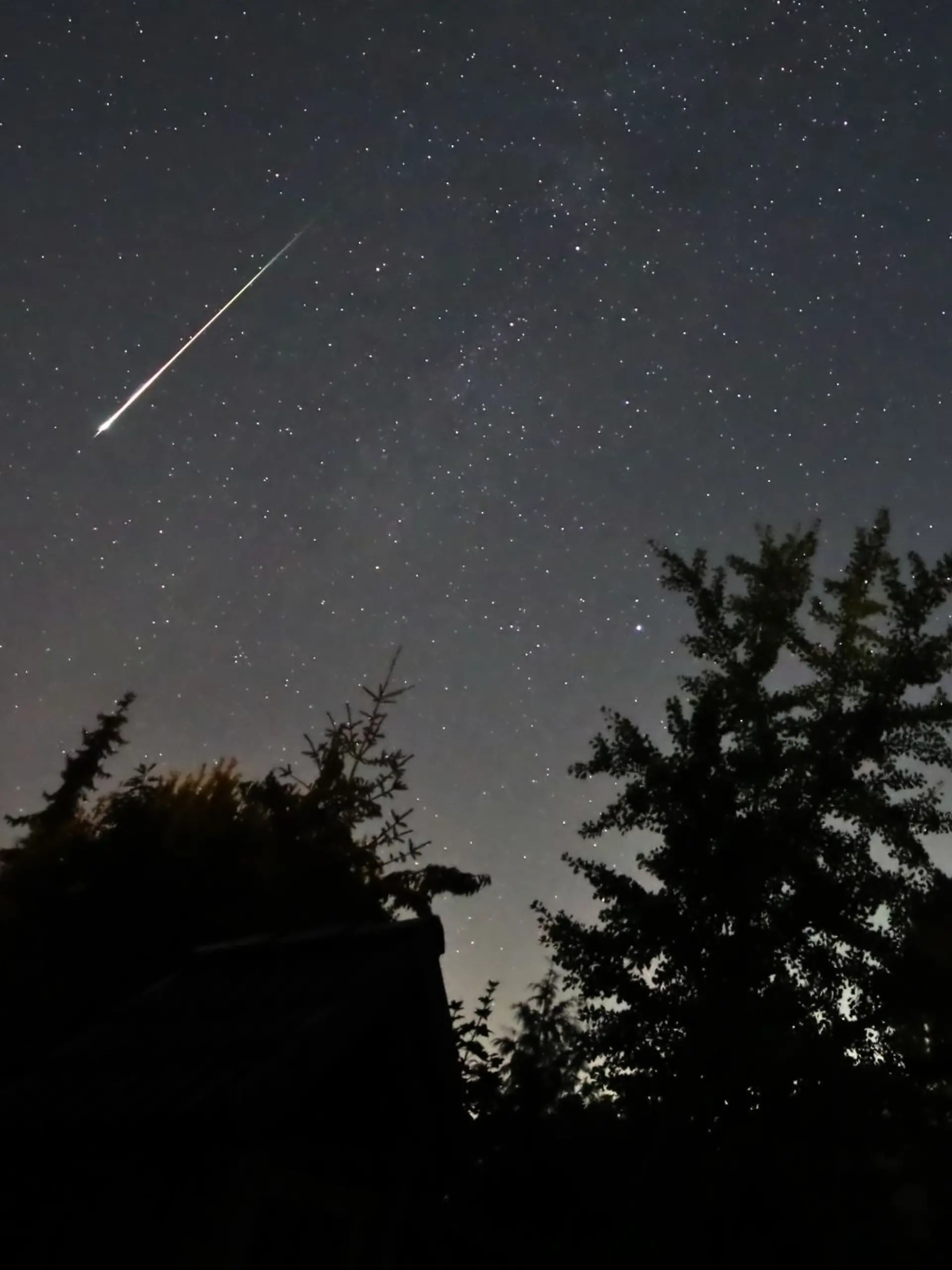 Bild zu: "Sternschnuppen-Strom erhellt im August unseren Nachthimmel"