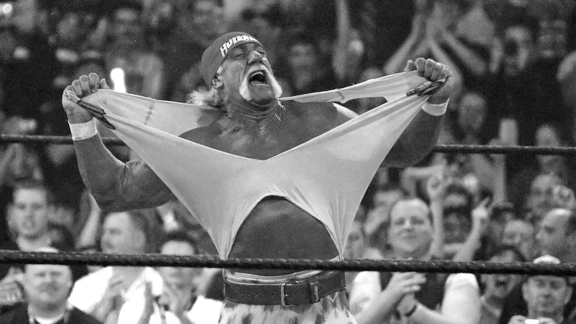 Hulk Hogan s_w.jpg