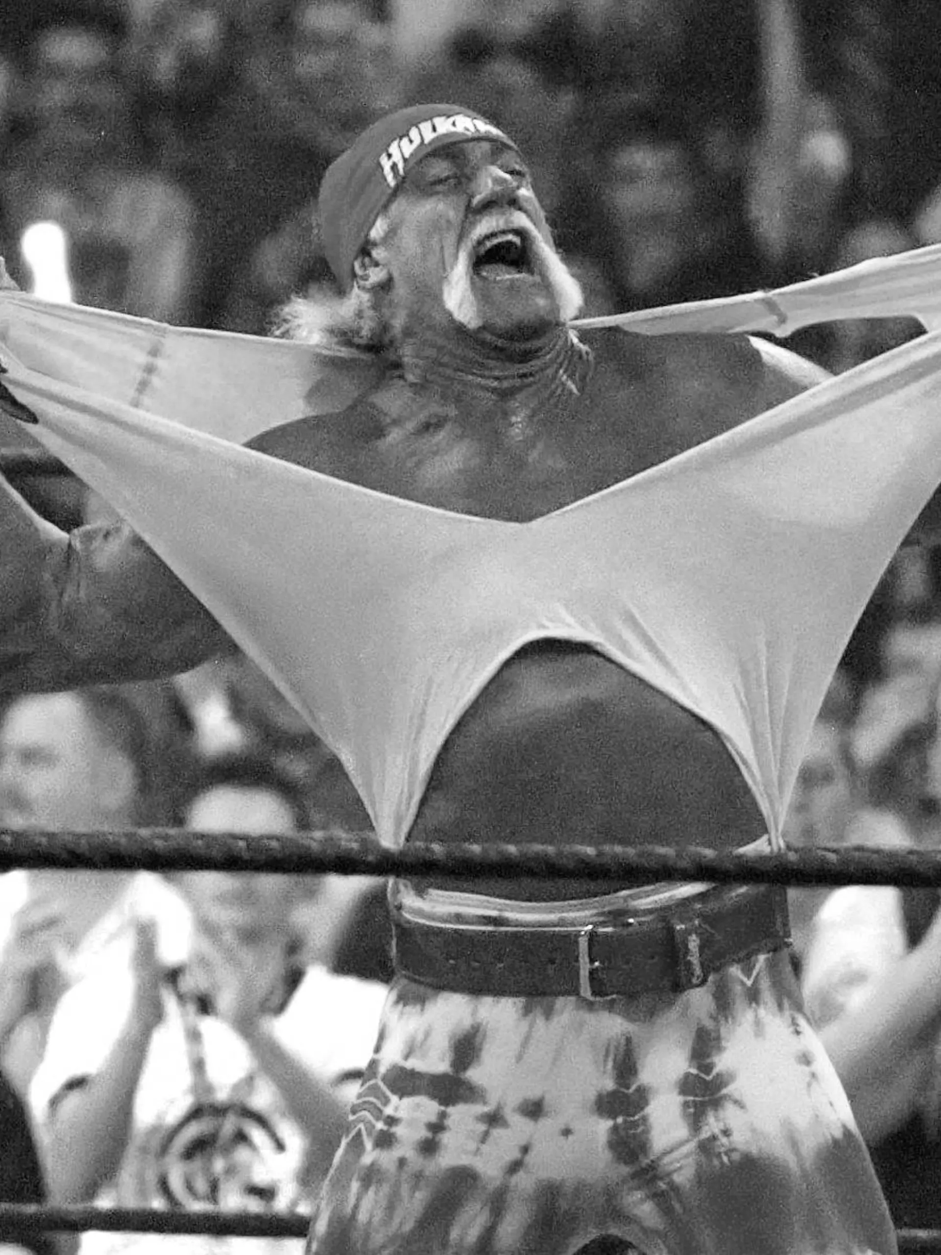 Bild zu: "So findet Hulk Hogan seine letzte Ruhe"