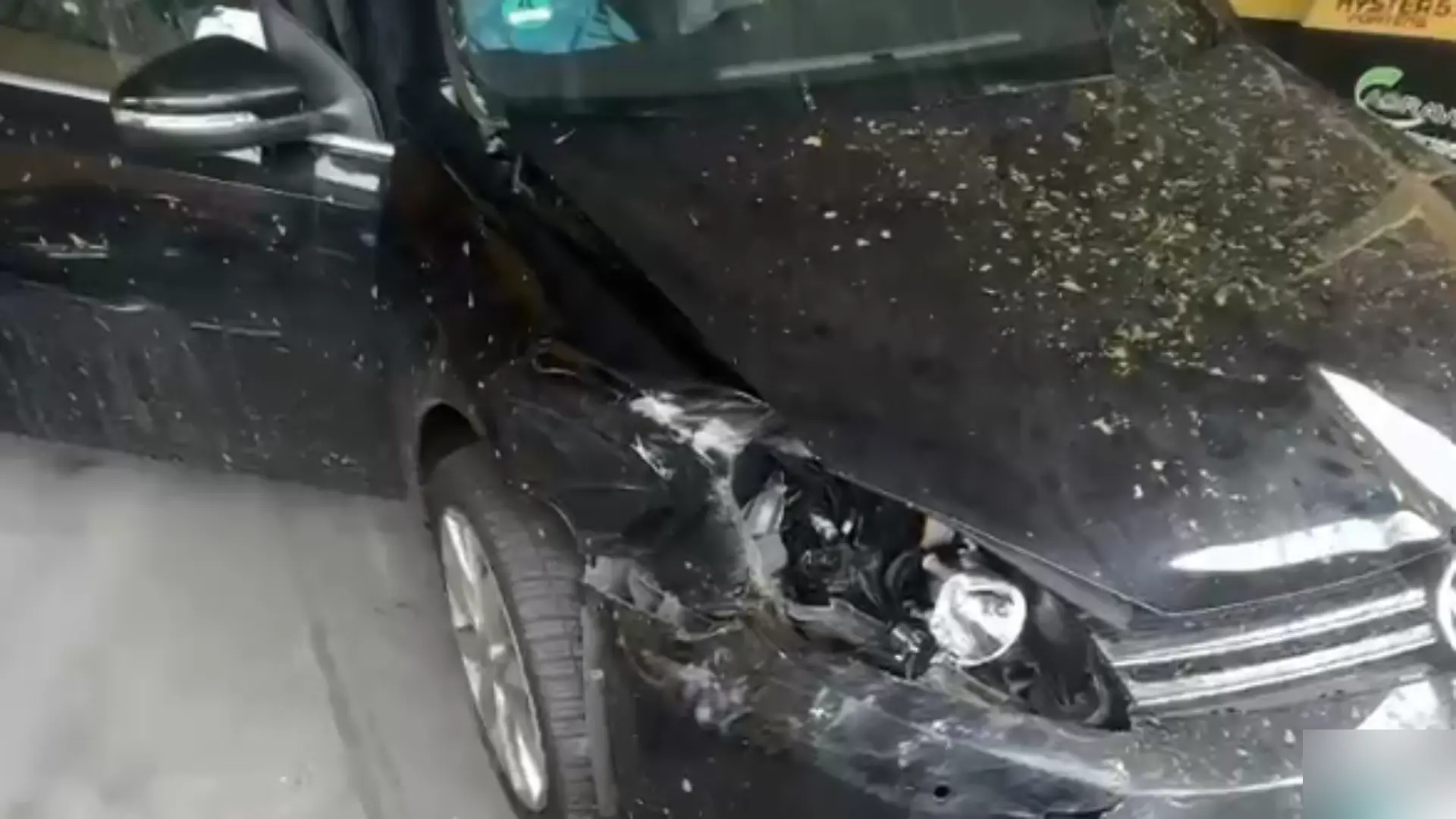 Walentina Doronina (25), bekannt aus dem Sommerhaus der Stars, erlebt wenige Stunden nach dem Crash von Luigi „Gigi” Birofio und Yasin Mohamed ebenfalls einen echten Horrorcrash! Mitten in der Nacht kommt es auf der Autobahn zum Unfall. Der Rettungswagen kommt, aber ihr geht es den Umständen entsprechend gut.